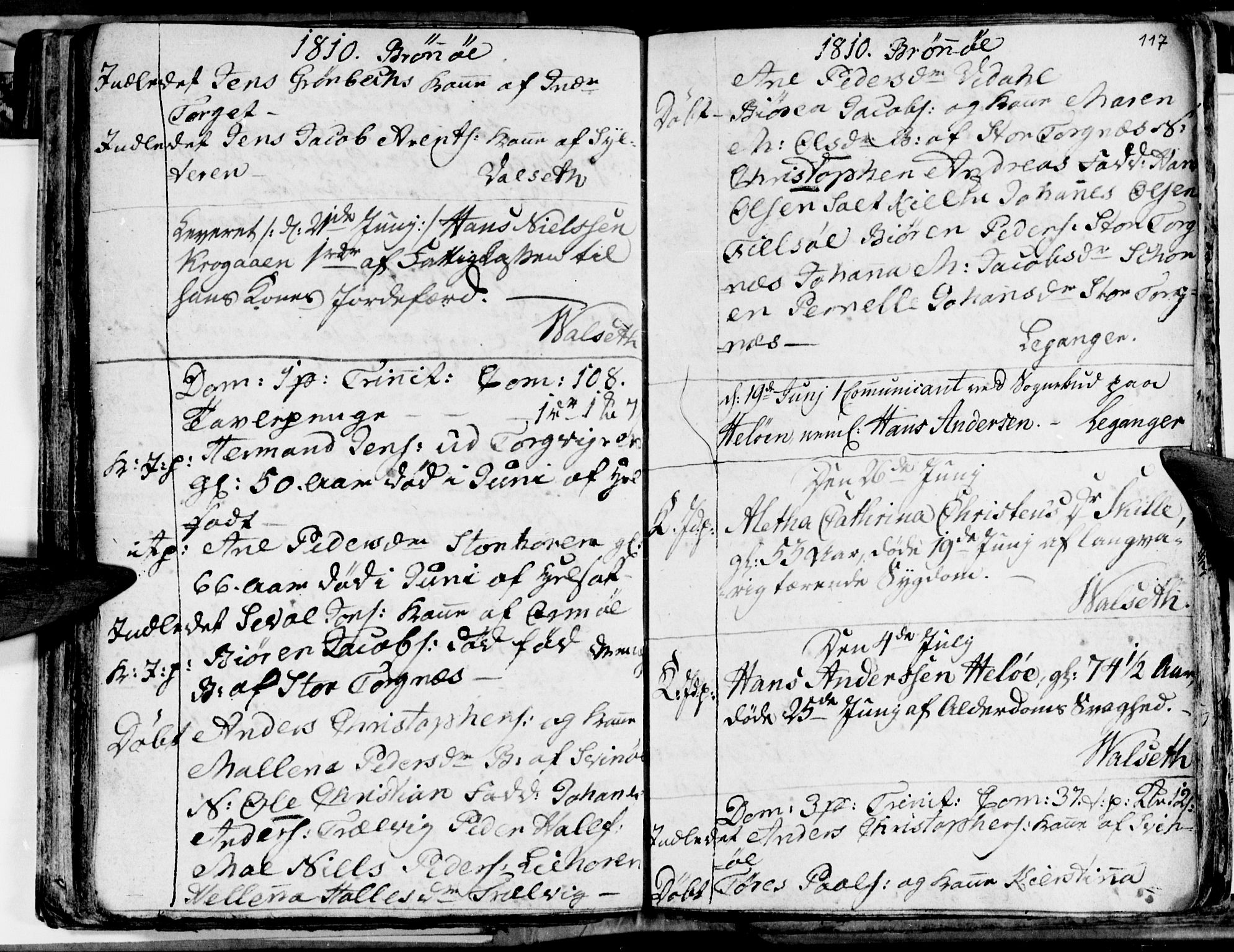 Ministerialprotokoller, klokkerbøker og fødselsregistre - Nordland, AV/SAT-A-1459/813/L0209: Parish register (copy) no. 813C01, 1803-1821, p. 117