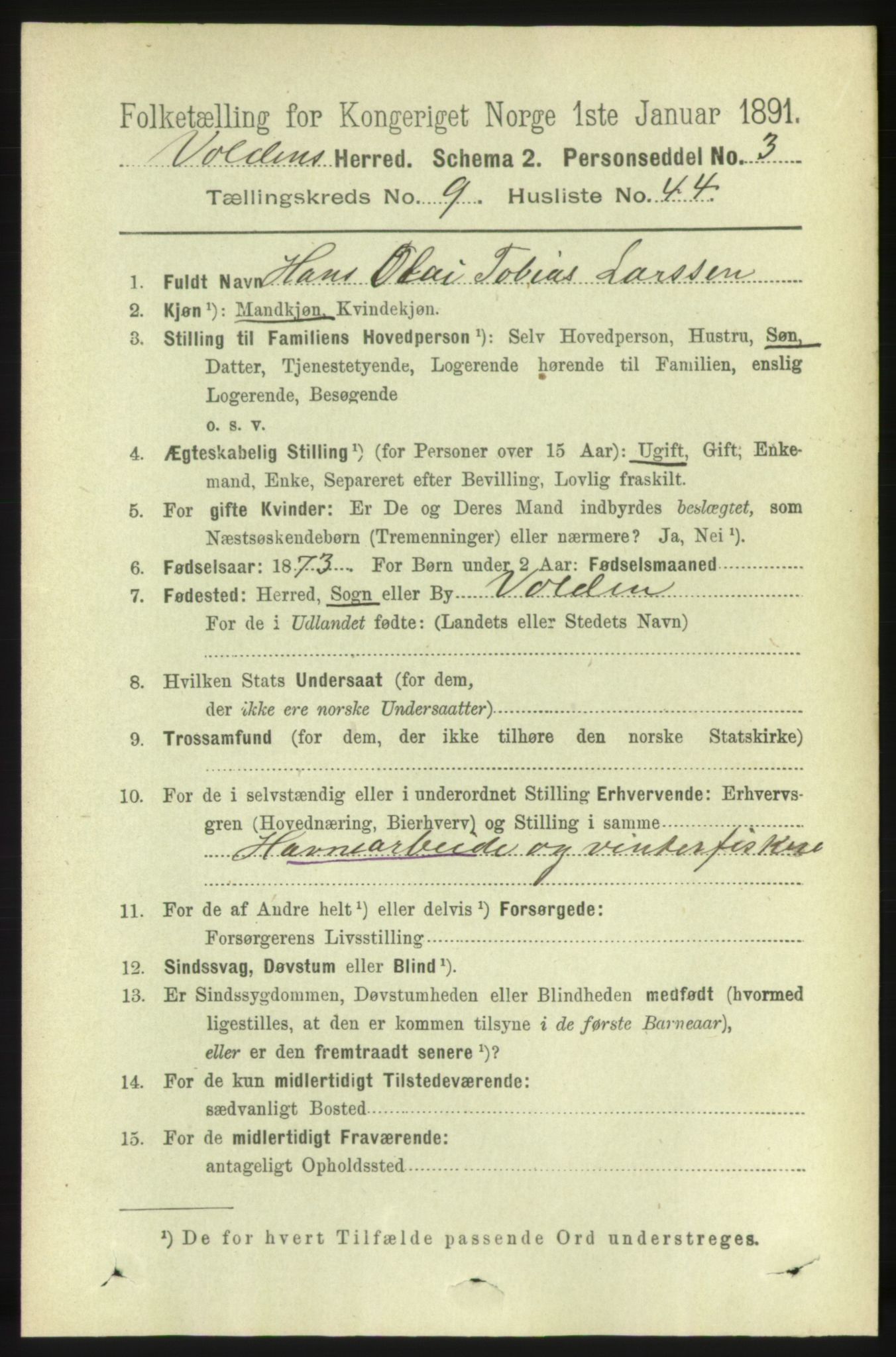 RA, 1891 census for 1519 Volda, 1891, p. 4538