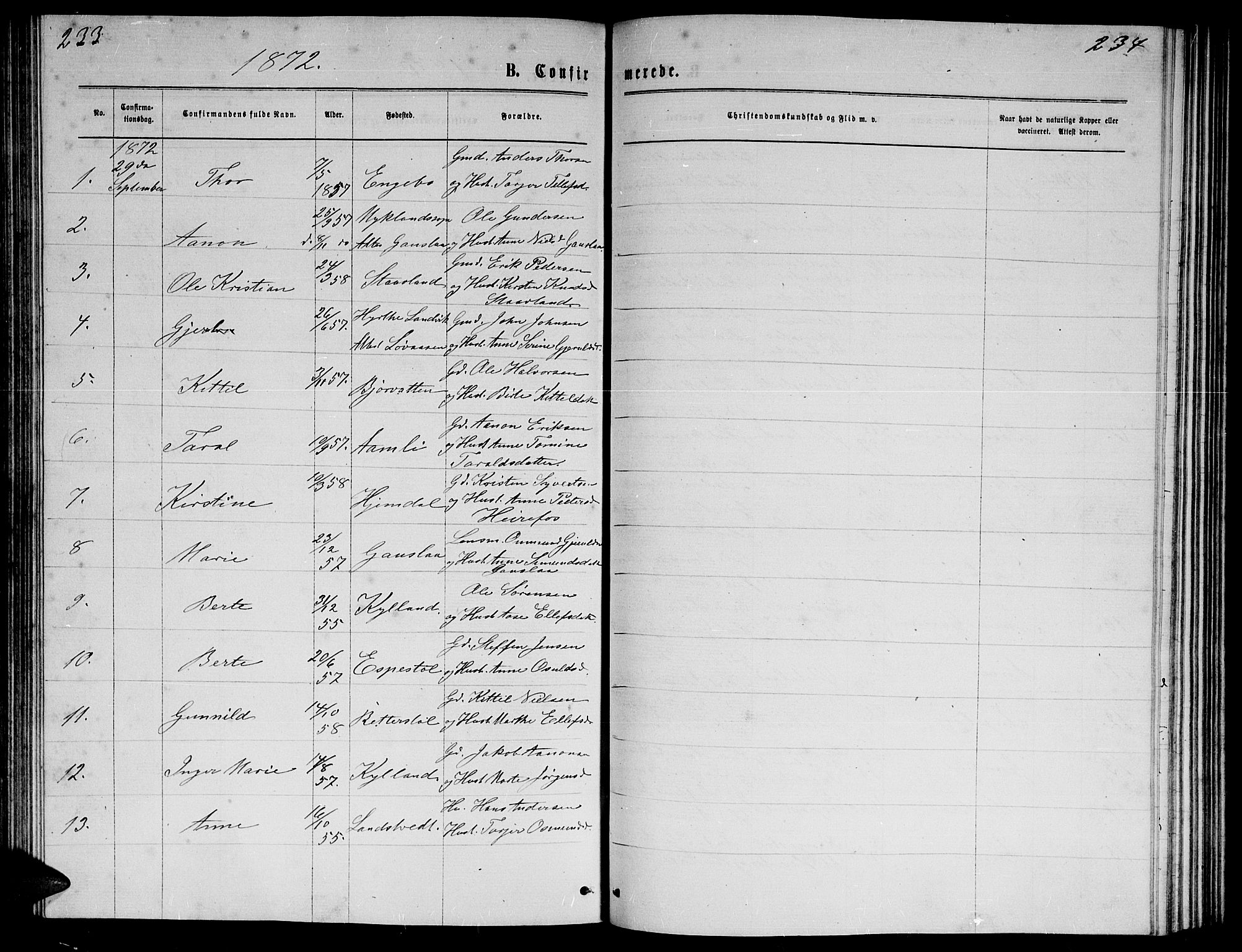 Herefoss sokneprestkontor, SAK/1111-0019/F/Fb/Fba/L0002: Parish register (copy) no. B 2, 1868-1886, p. 233-234