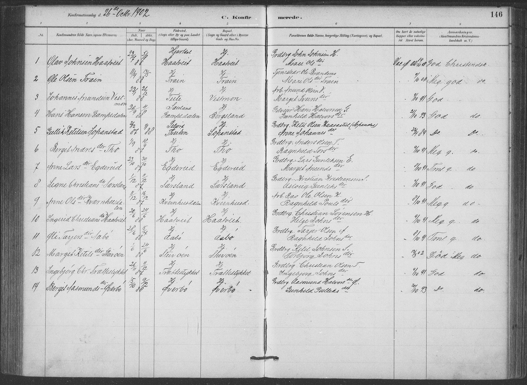 Hjartdal kirkebøker, AV/SAKO-A-270/F/Fa/L0010: Parish register (official) no. I 10, 1880-1929, p. 146