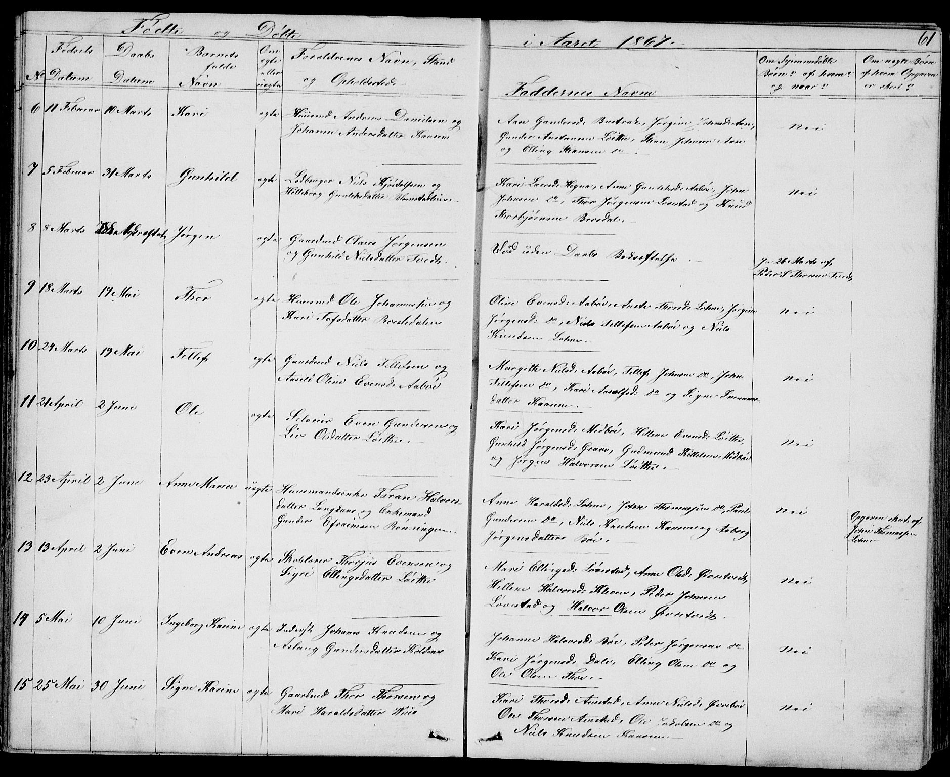 Drangedal kirkebøker, SAKO/A-258/G/Gb/L0001: Parish register (copy) no. II 1, 1856-1894, p. 61