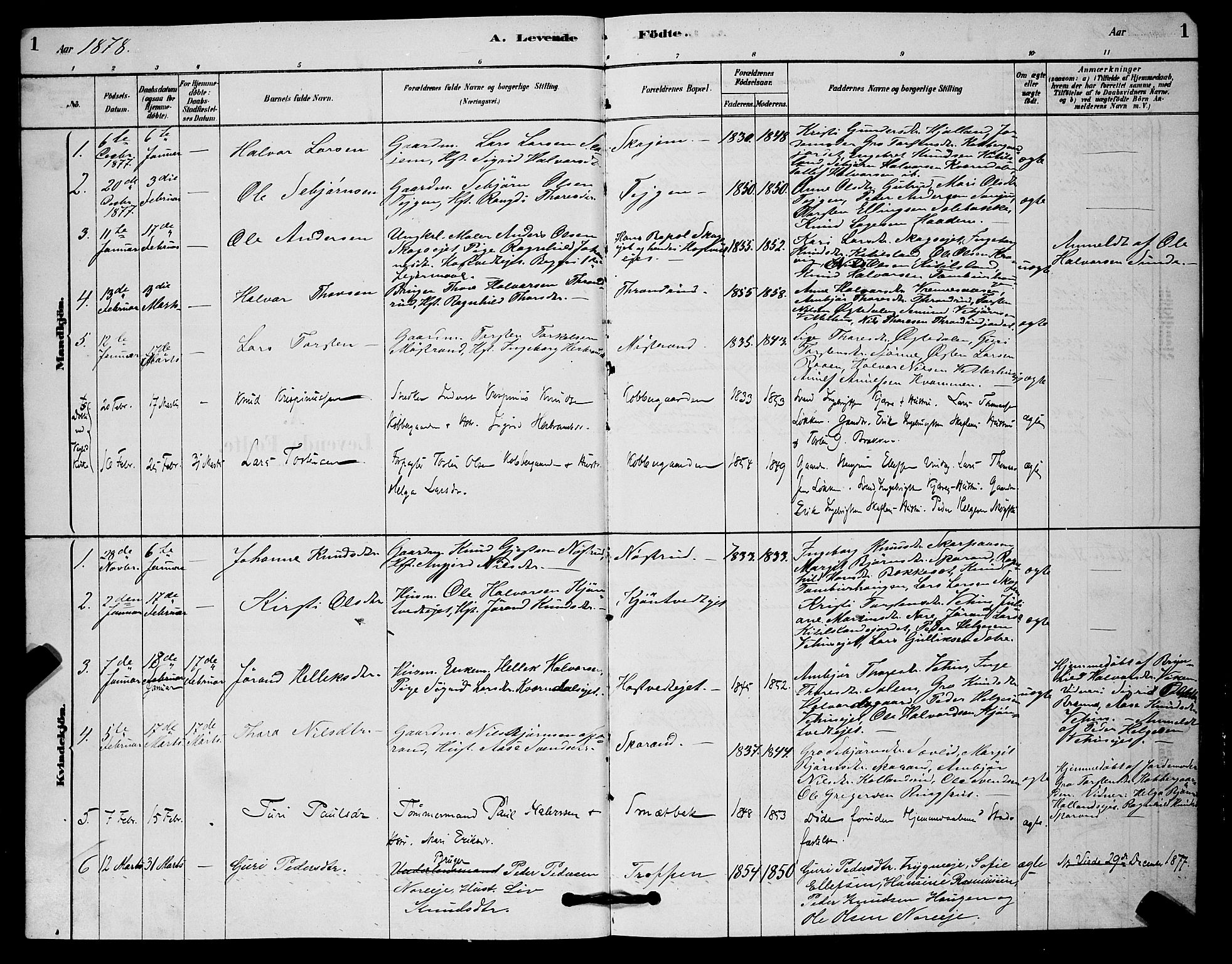 Nore kirkebøker, AV/SAKO-A-238/G/Ga/L0002: Parish register (copy) no. I 2, 1878-1885, p. 1