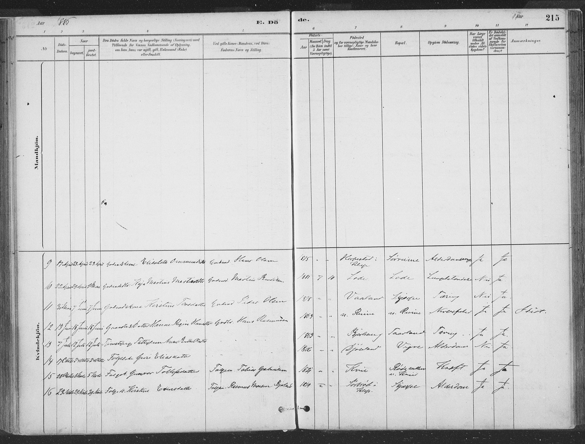 Hå sokneprestkontor, AV/SAST-A-101801/001/30BA/L0010: Parish register (official) no. A 9, 1879-1896, p. 215