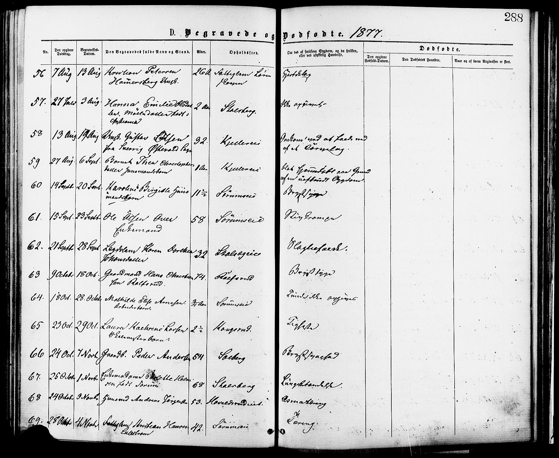 Skedsmo prestekontor Kirkebøker, AV/SAO-A-10033a/F/Fa/L0012: Parish register (official) no. I 12, 1876-1883, p. 288