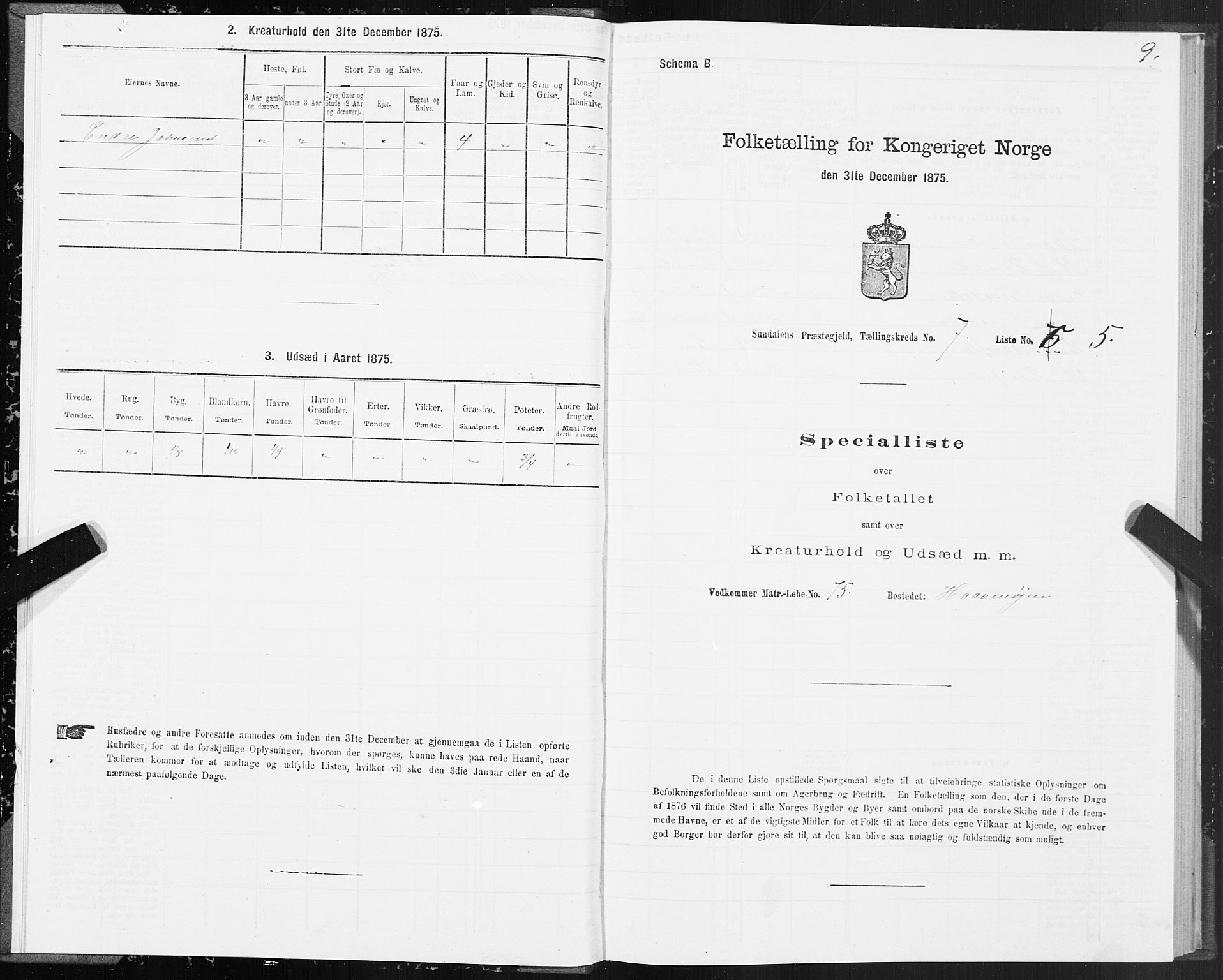 SAT, 1875 census for 1563P Sunndal, 1875, p. 3009