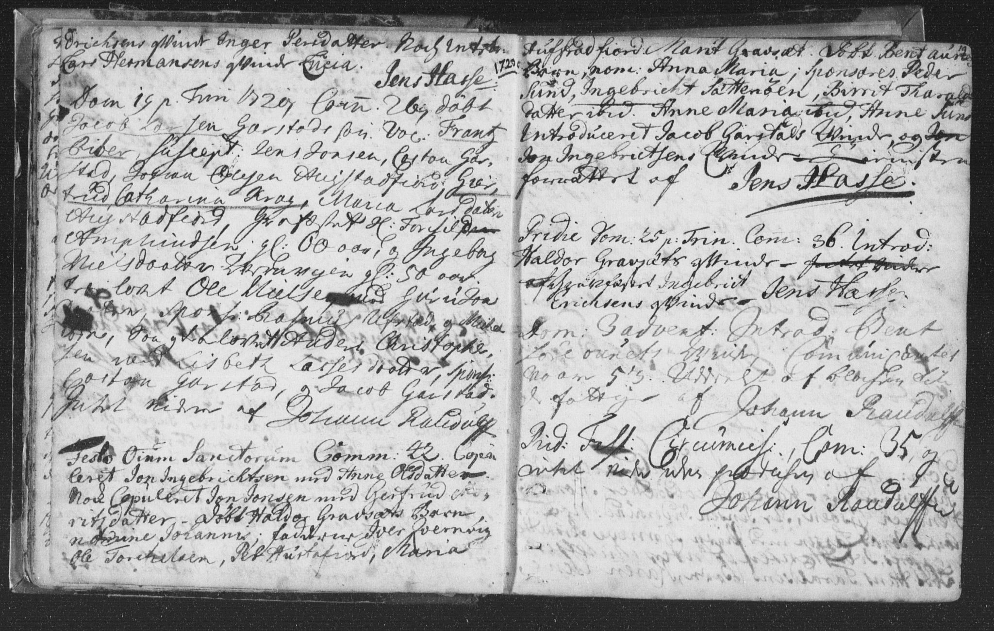 Ministerialprotokoller, klokkerbøker og fødselsregistre - Nord-Trøndelag, SAT/A-1458/786/L0685: Parish register (official) no. 786A01, 1710-1798, p. 19