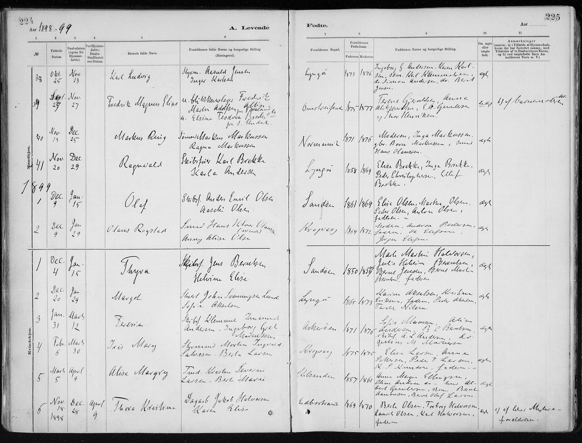 Dypvåg sokneprestkontor, SAK/1111-0007/F/Fa/Faa/L0008: Parish register (official) no. A 8, 1885-1906, p. 224-225