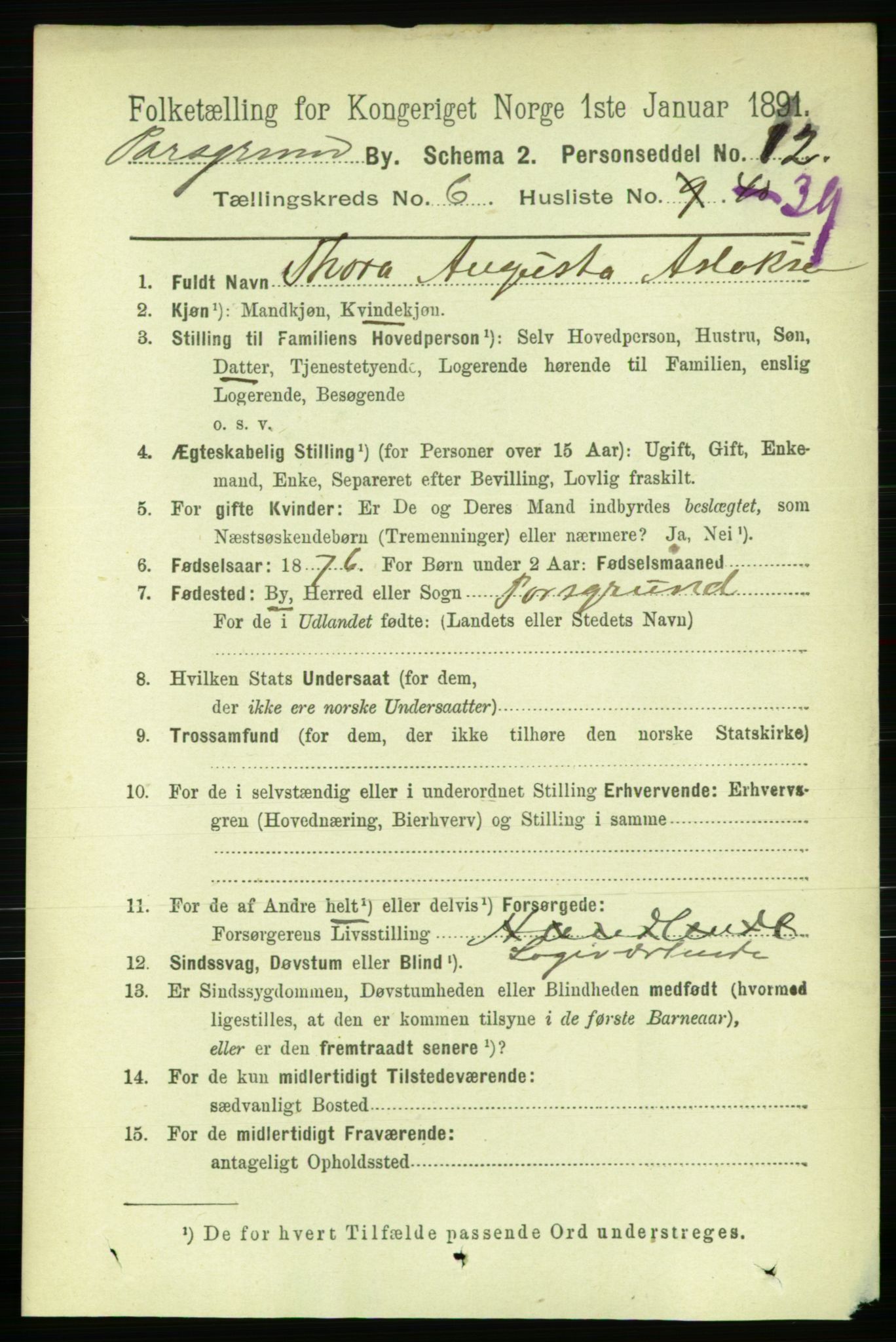 RA, 1891 census for 0805 Porsgrunn, 1891, p. 5446