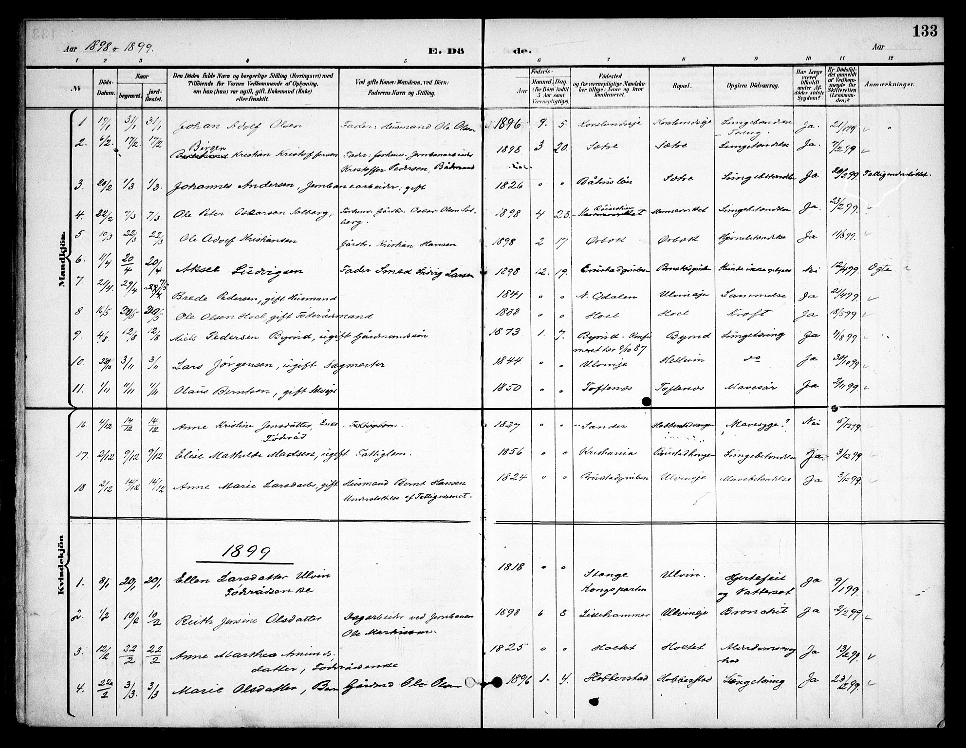 Eidsvoll prestekontor Kirkebøker, SAO/A-10888/F/Fb/L0003: Parish register (official) no. II 3, 1898-1909, p. 133