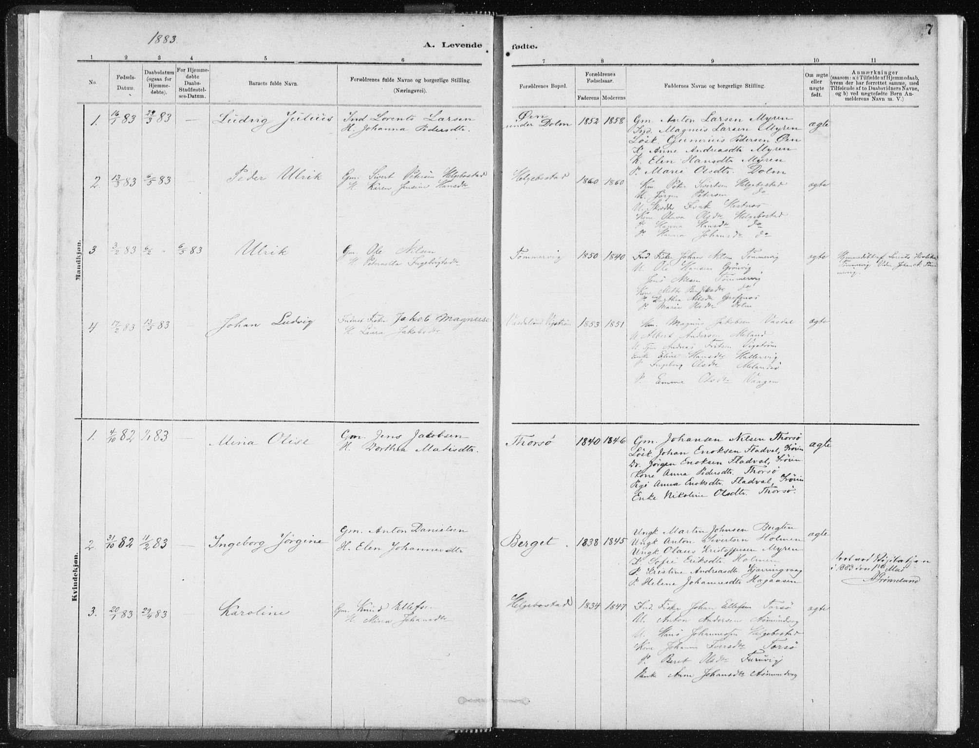 Ministerialprotokoller, klokkerbøker og fødselsregistre - Sør-Trøndelag, SAT/A-1456/634/L0533: Parish register (official) no. 634A09, 1882-1901, p. 7