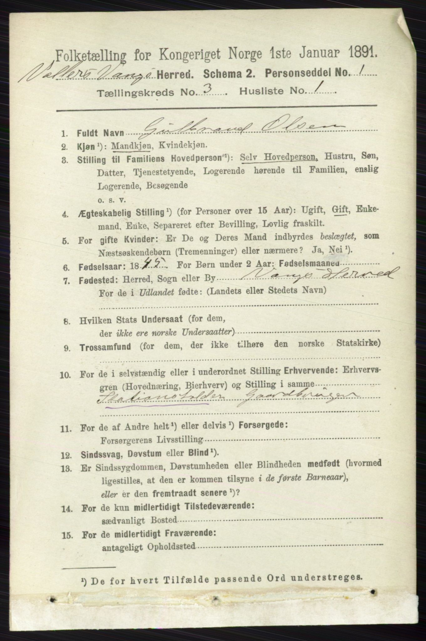 RA, 1891 census for 0545 Vang, 1891, p. 711