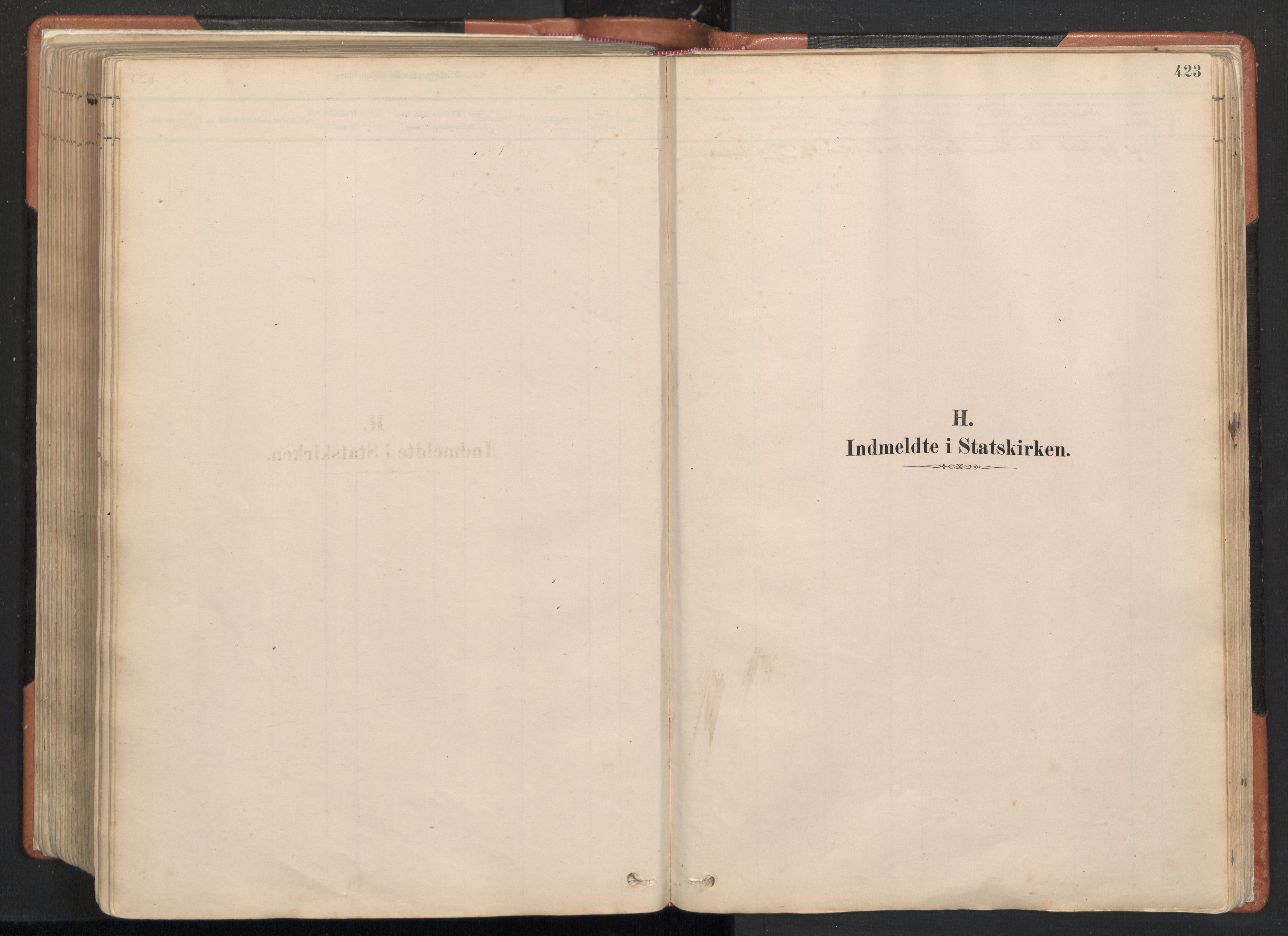 Ministerialprotokoller, klokkerbøker og fødselsregistre - Nordland, SAT/A-1459/817/L0264: Parish register (official) no. 817A04, 1878-1907, p. 423