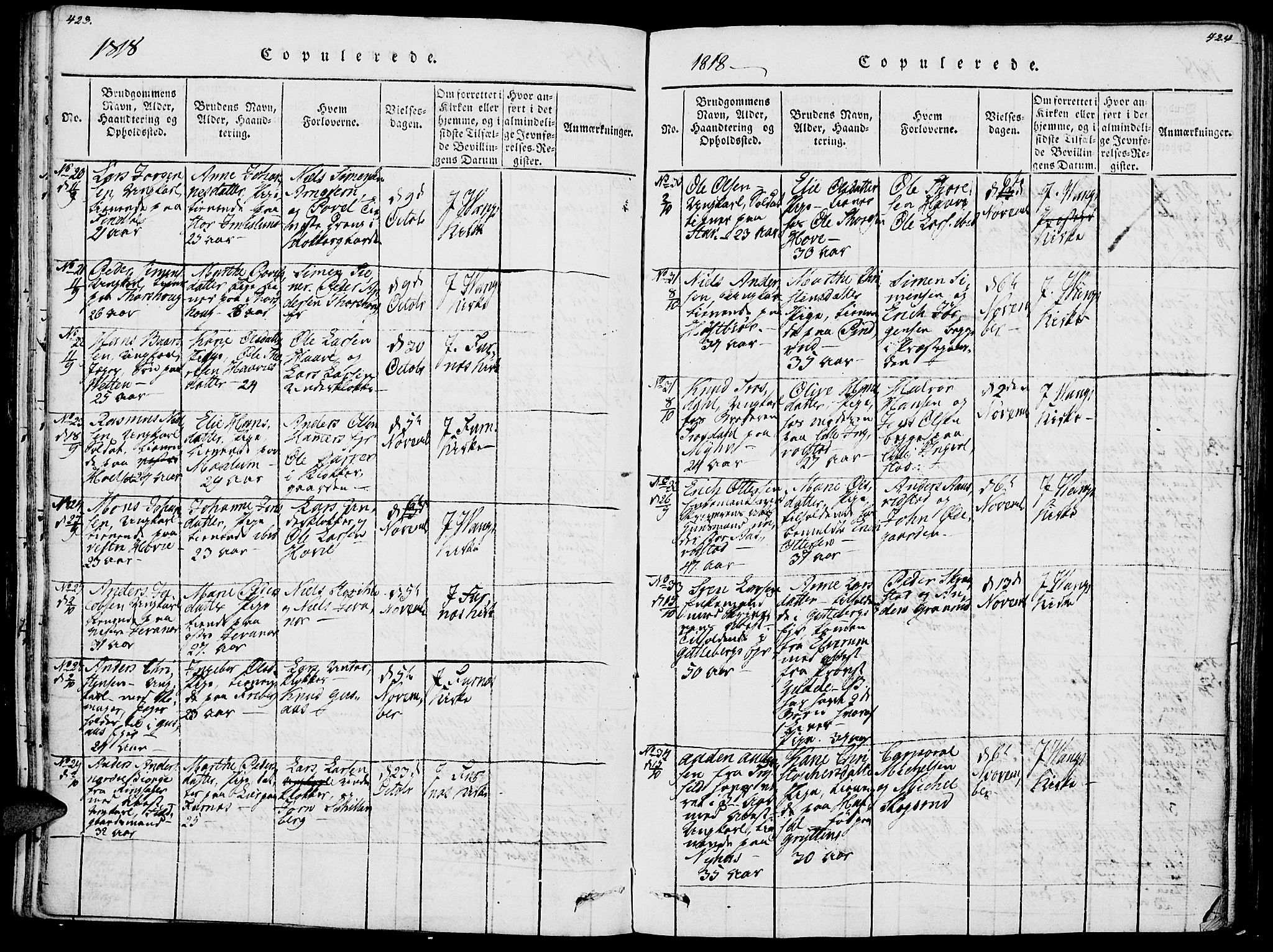 Vang prestekontor, Hedmark, AV/SAH-PREST-008/H/Ha/Haa/L0007: Parish register (official) no. 7, 1813-1826, p. 423-424