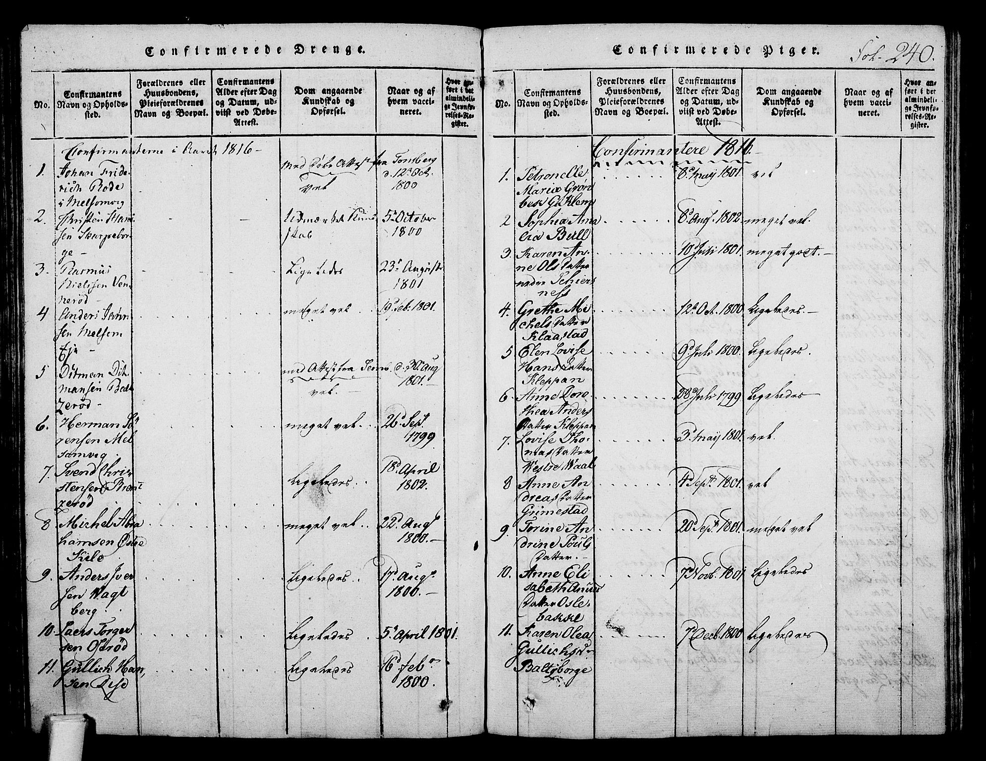 Stokke kirkebøker, AV/SAKO-A-320/F/Fa/L0005: Parish register (official) no. I 5, 1815-1826, p. 240