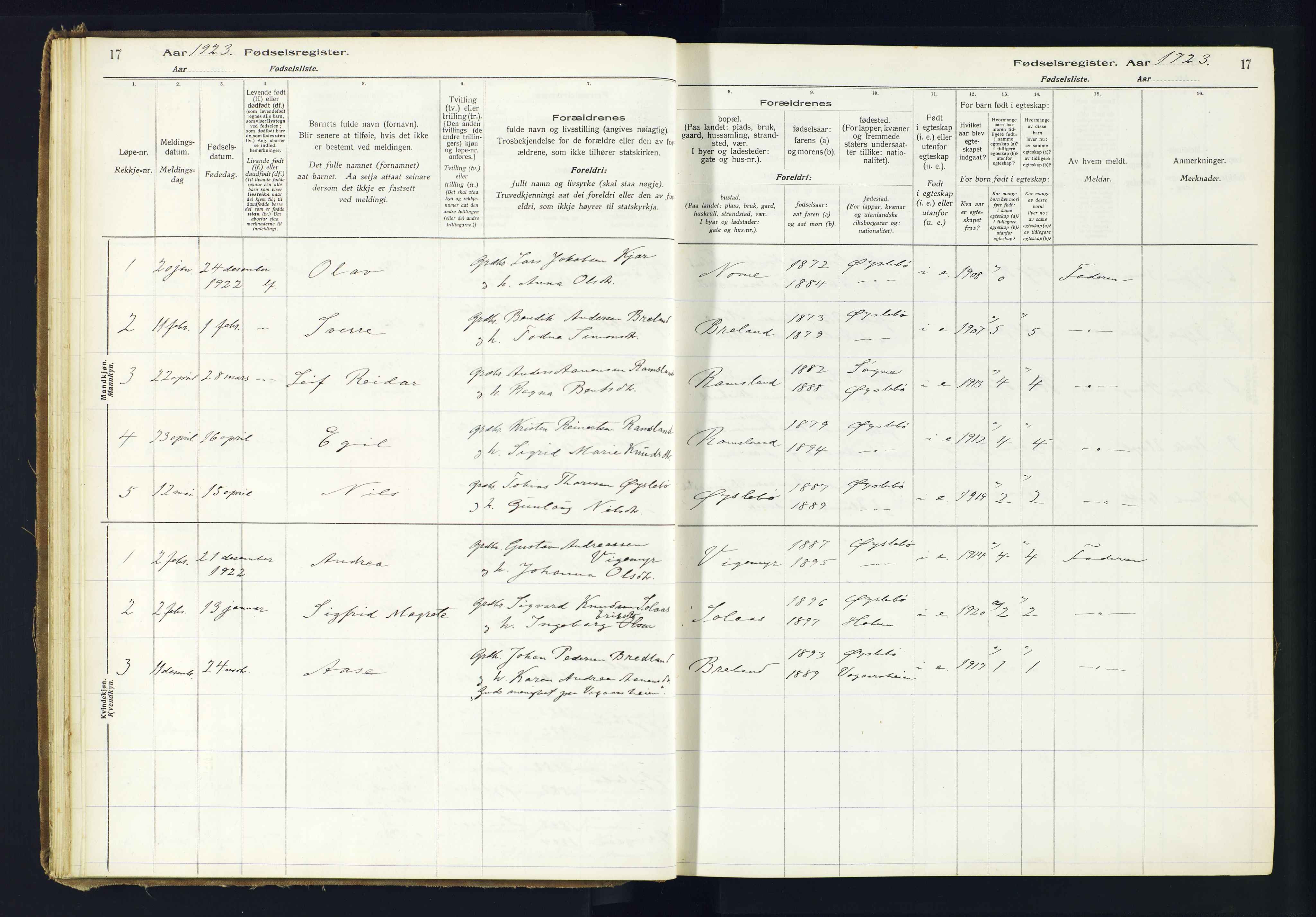 Holum sokneprestkontor, AV/SAK-1111-0022/J/Ja/L0002: Birth register no. II.6.11, 1916-1982, p. 17