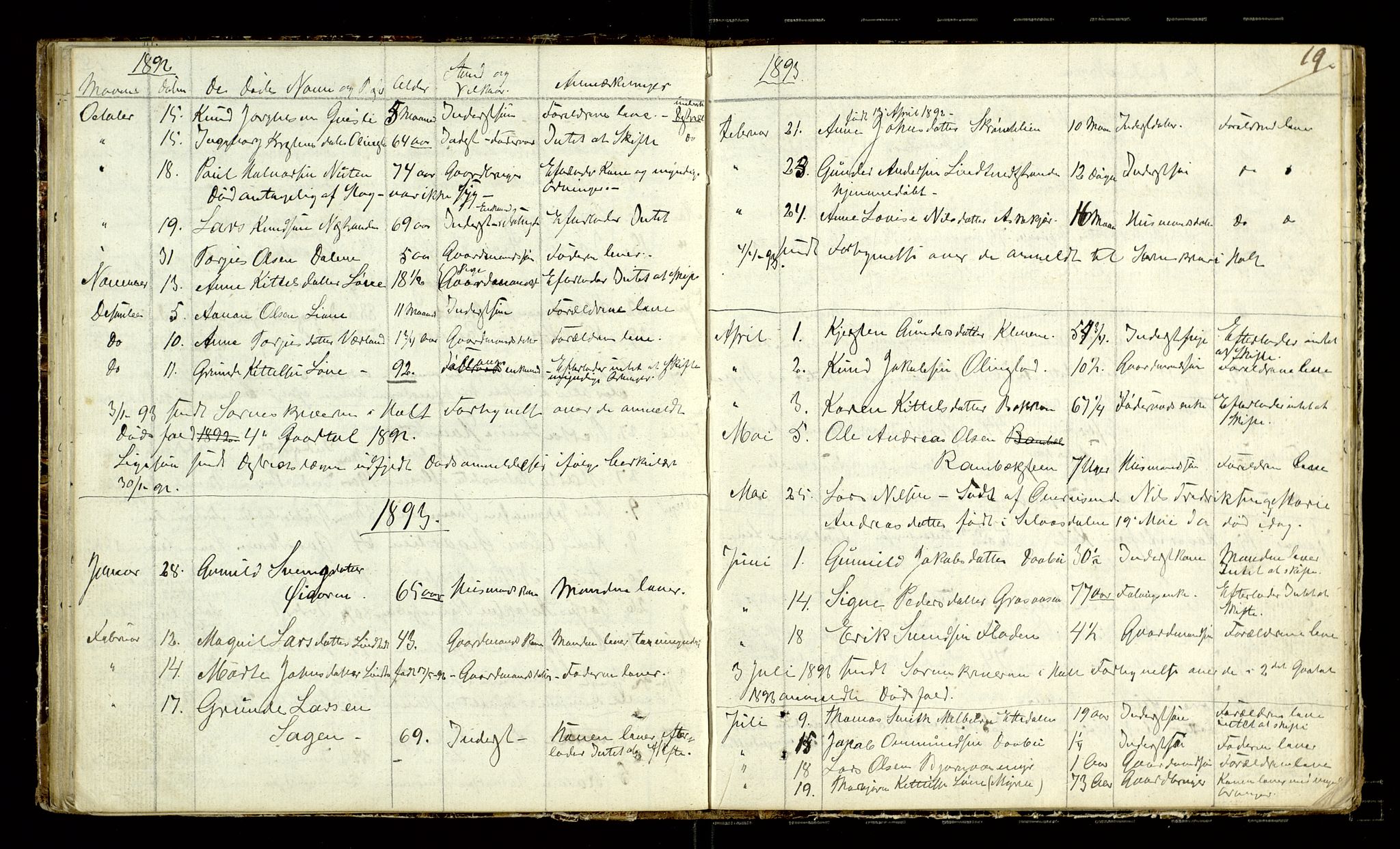Vegårshei lensmannskontor, AV/SAK-1241-0049/F/Fe/L0001/0001: Dødsfallsprotokoller / Dødsfallsprotokoll, 1880-1905, p. 19