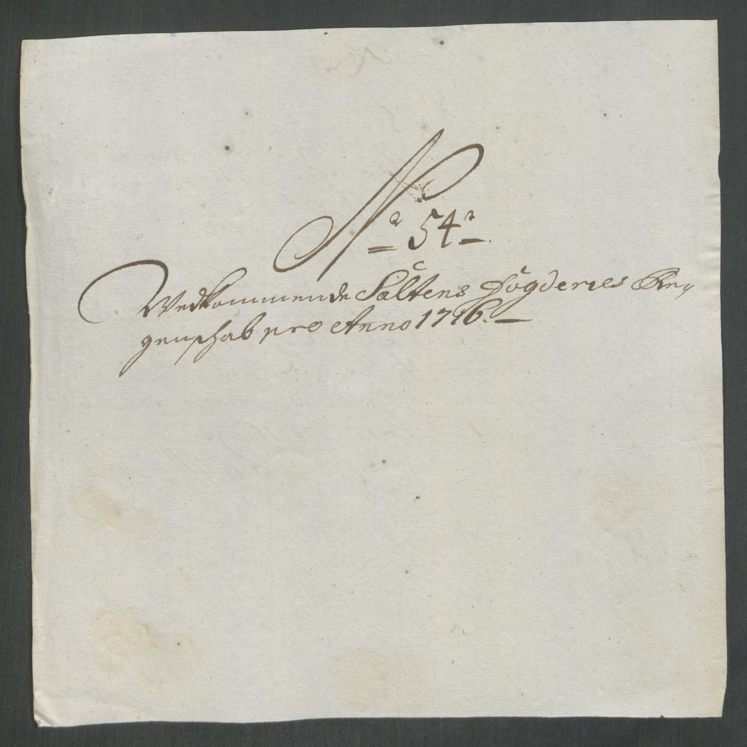 Rentekammeret inntil 1814, Reviderte regnskaper, Fogderegnskap, RA/EA-4092/R66/L4586: Fogderegnskap Salten, 1716, p. 272