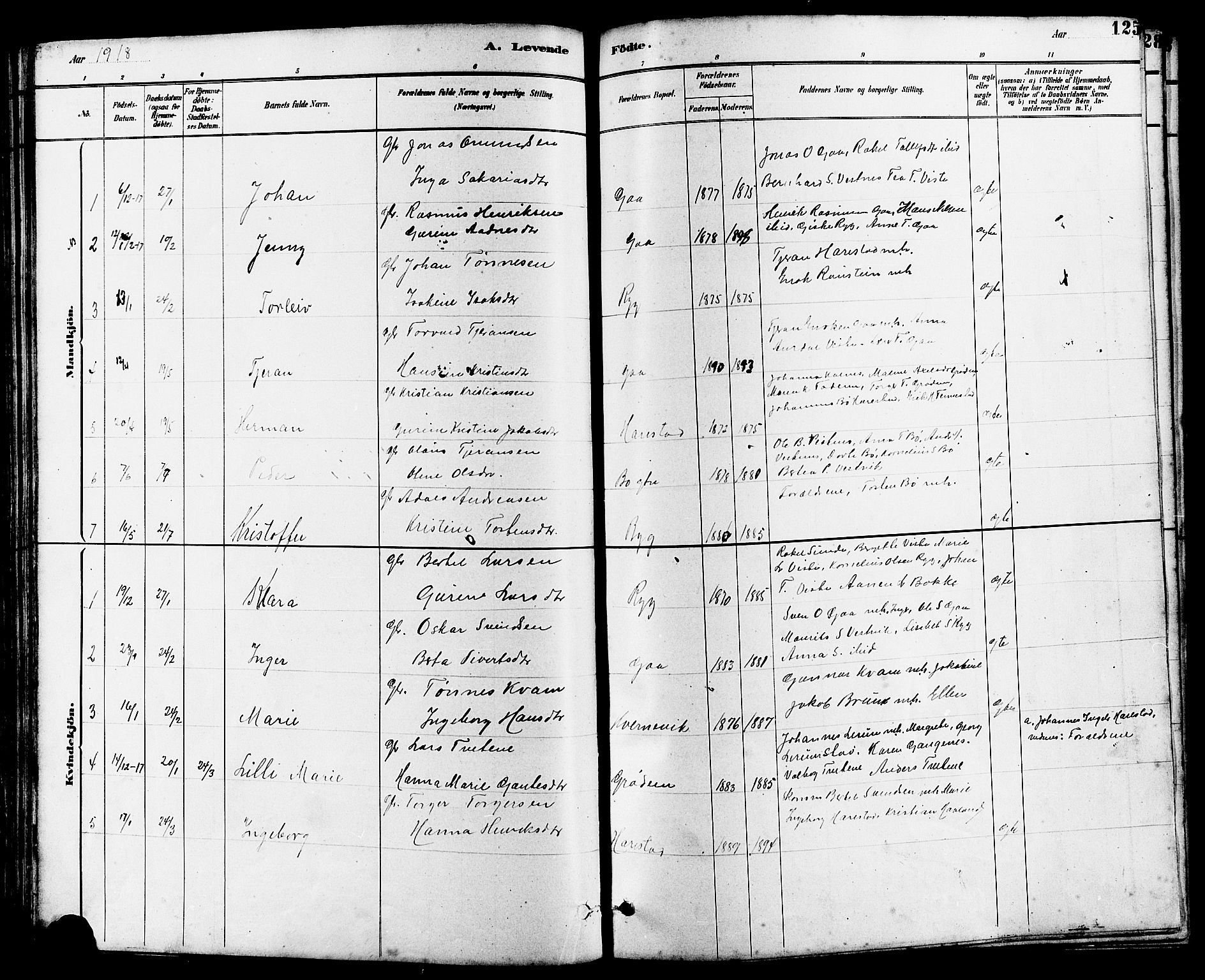 Hetland sokneprestkontor, SAST/A-101826/30/30BB/L0006: Parish register (copy) no. B 6, 1878-1921, p. 125