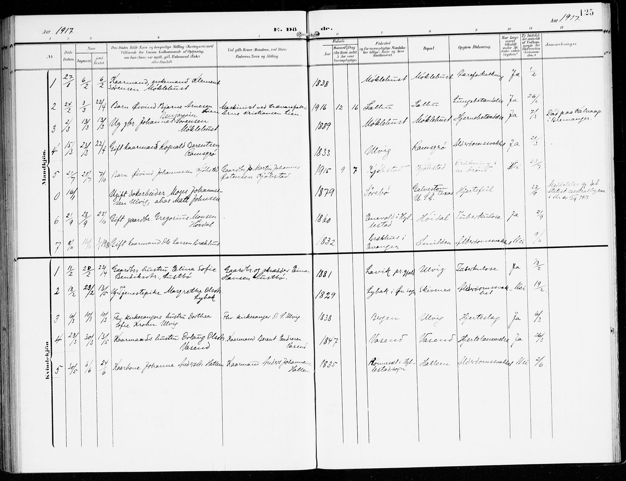 Hyllestad sokneprestembete, SAB/A-80401: Parish register (official) no. D 2, 1905-1919, p. 125