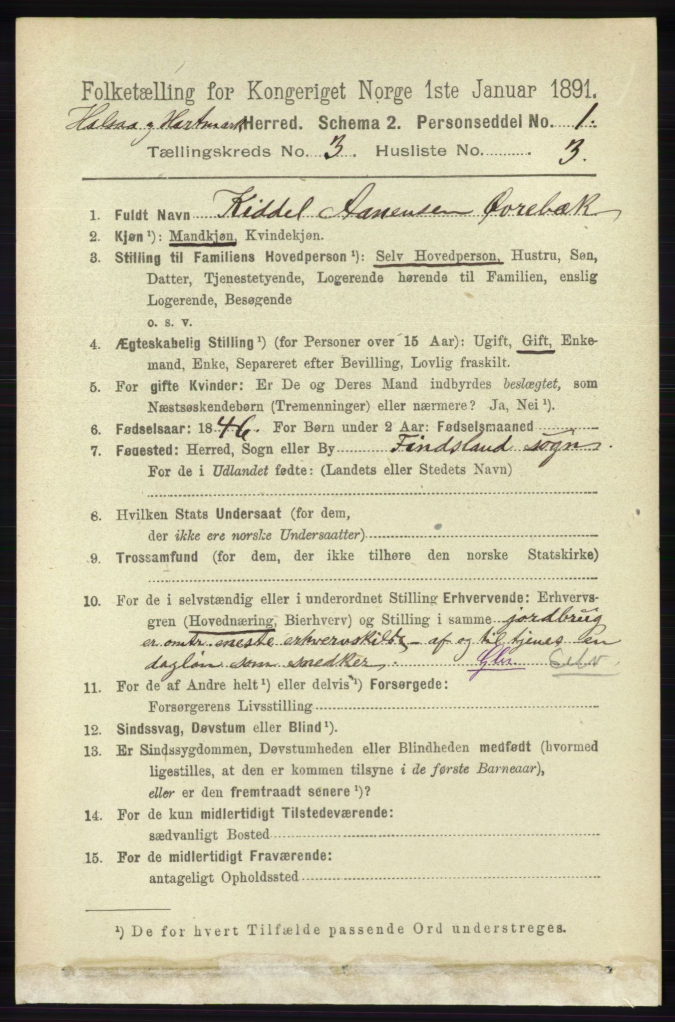 RA, 1891 census for 1019 Halse og Harkmark, 1891, p. 1017