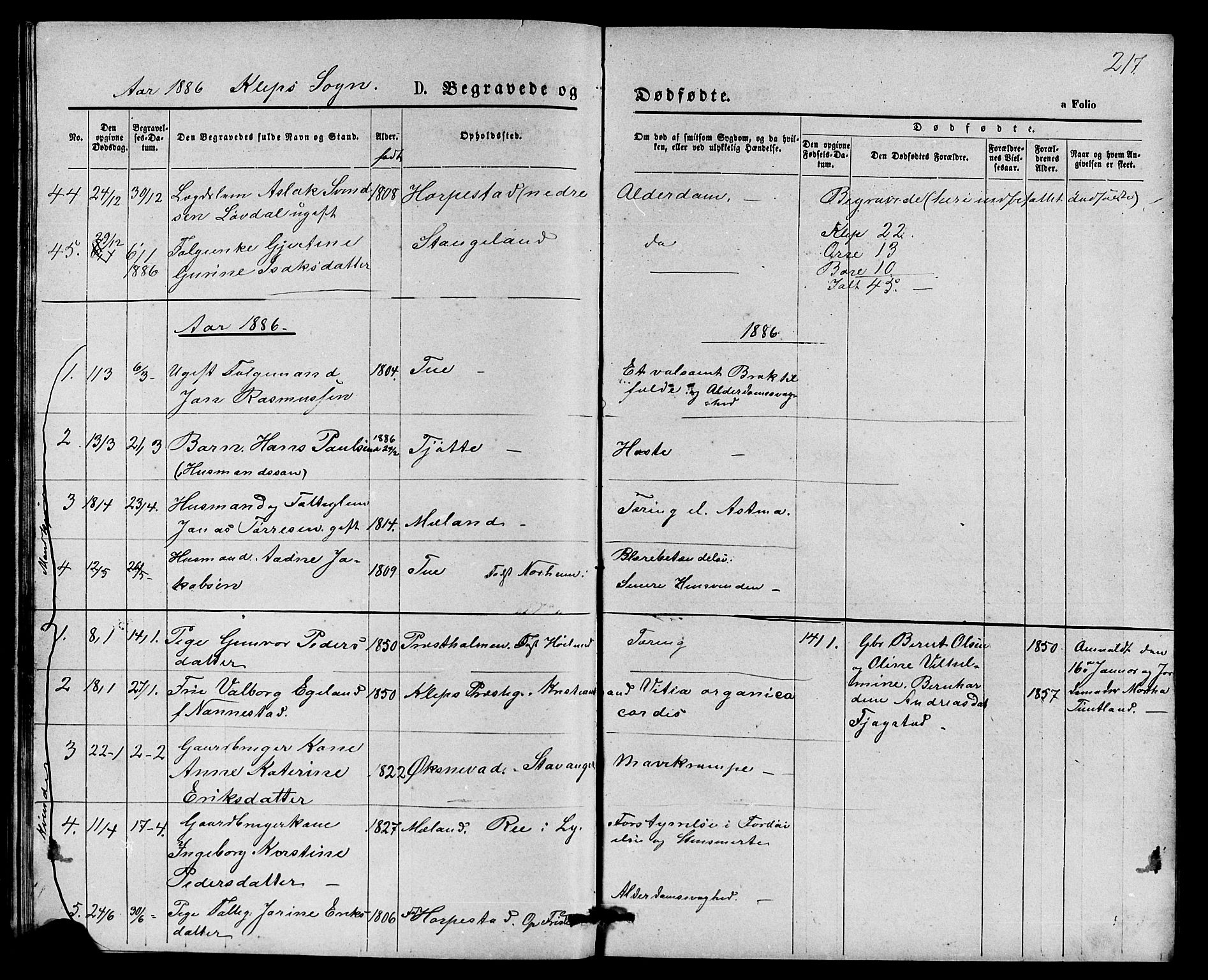 Klepp sokneprestkontor, SAST/A-101803/001/3/30BB/L0003: Parish register (copy) no. B 3, 1876-1888, p. 217