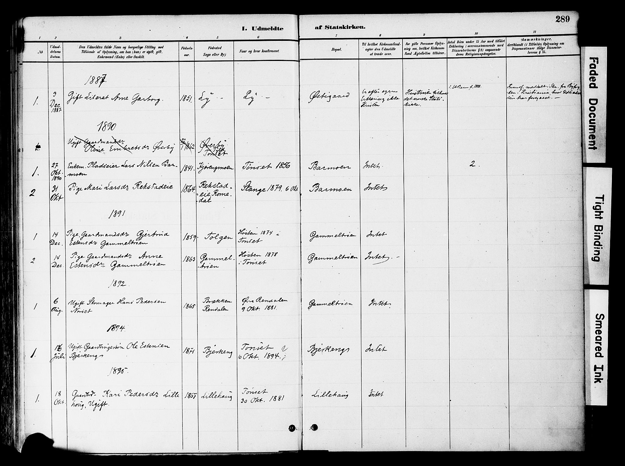 Tynset prestekontor, SAH/PREST-058/H/Ha/Haa/L0022: Parish register (official) no. 22, 1880-1899, p. 289