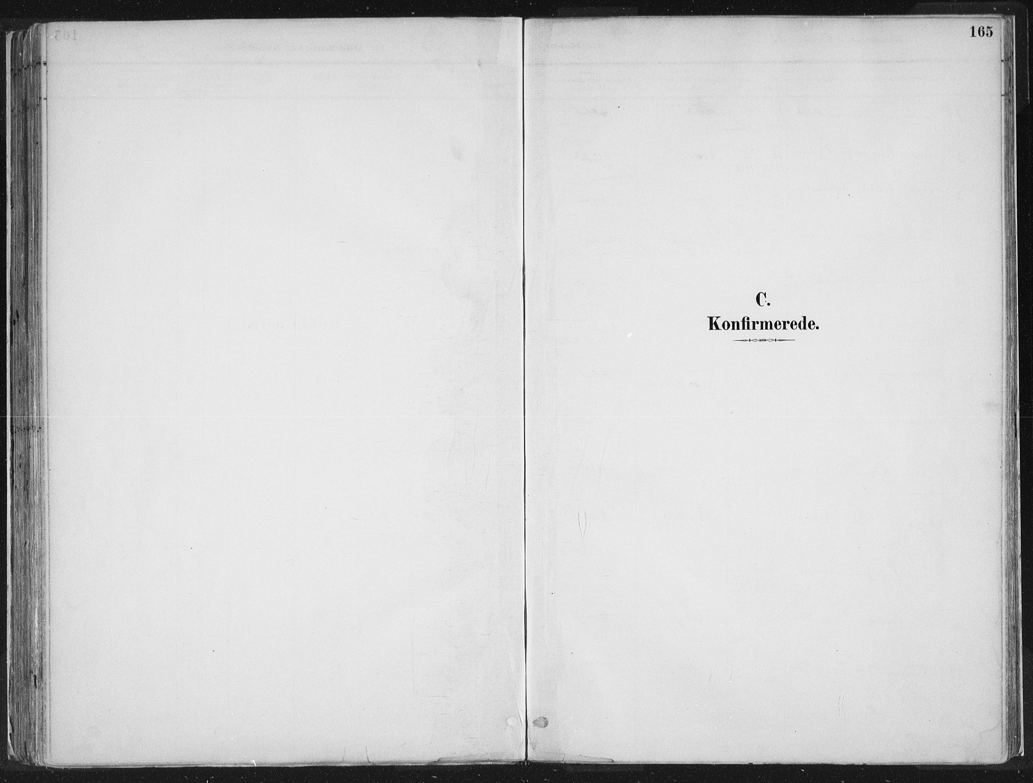 Hornindal sokneprestembete, SAB/A-82401/H/Haa/Haaa/L0003/0001: Parish register (official) no. A 3A, 1887-1917, p. 165
