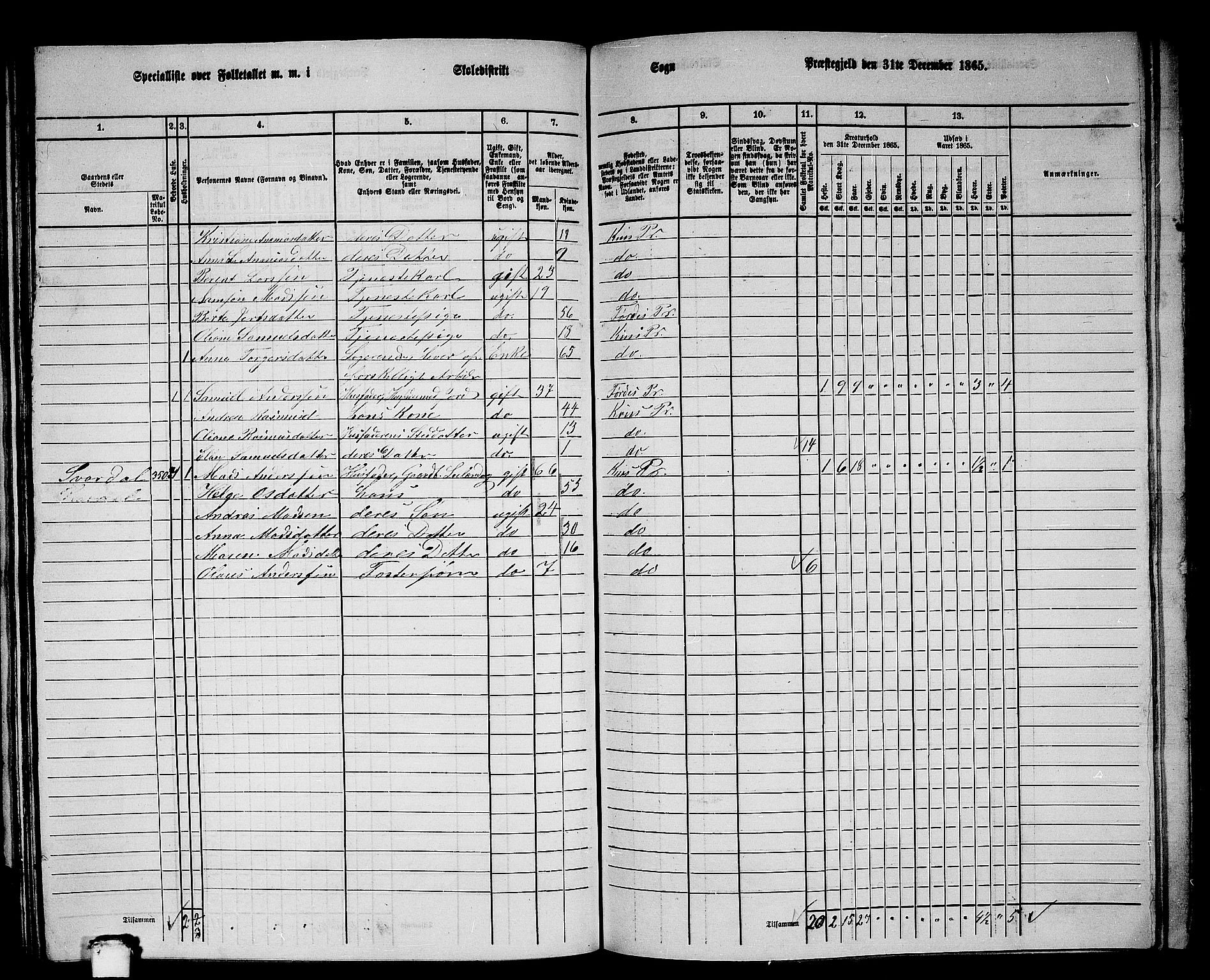 RA, 1865 census for Kinn, 1865, p. 113