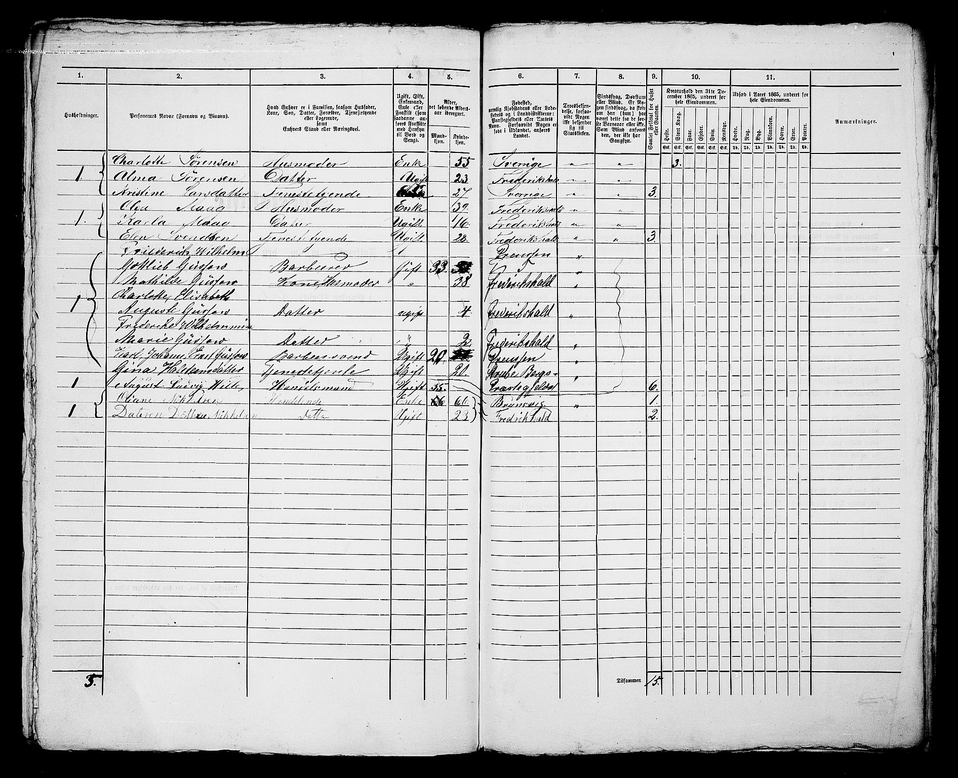 RA, 1865 census for Fredrikshald, 1865, p. 334