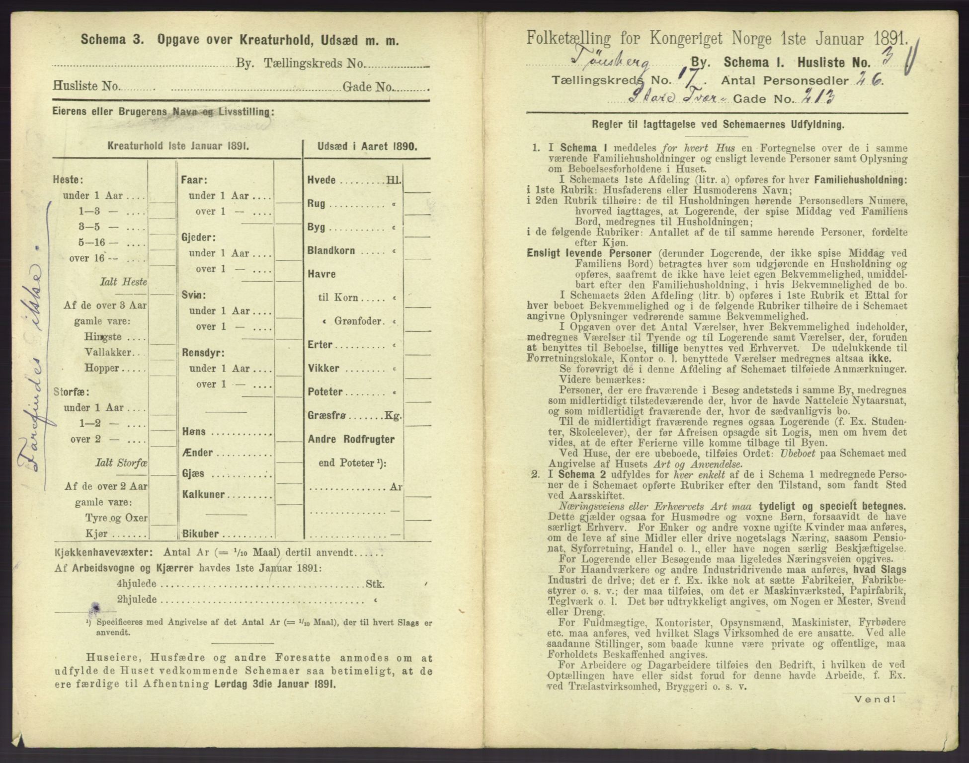 RA, 1891 census for 0705 Tønsberg, 1891, p. 602