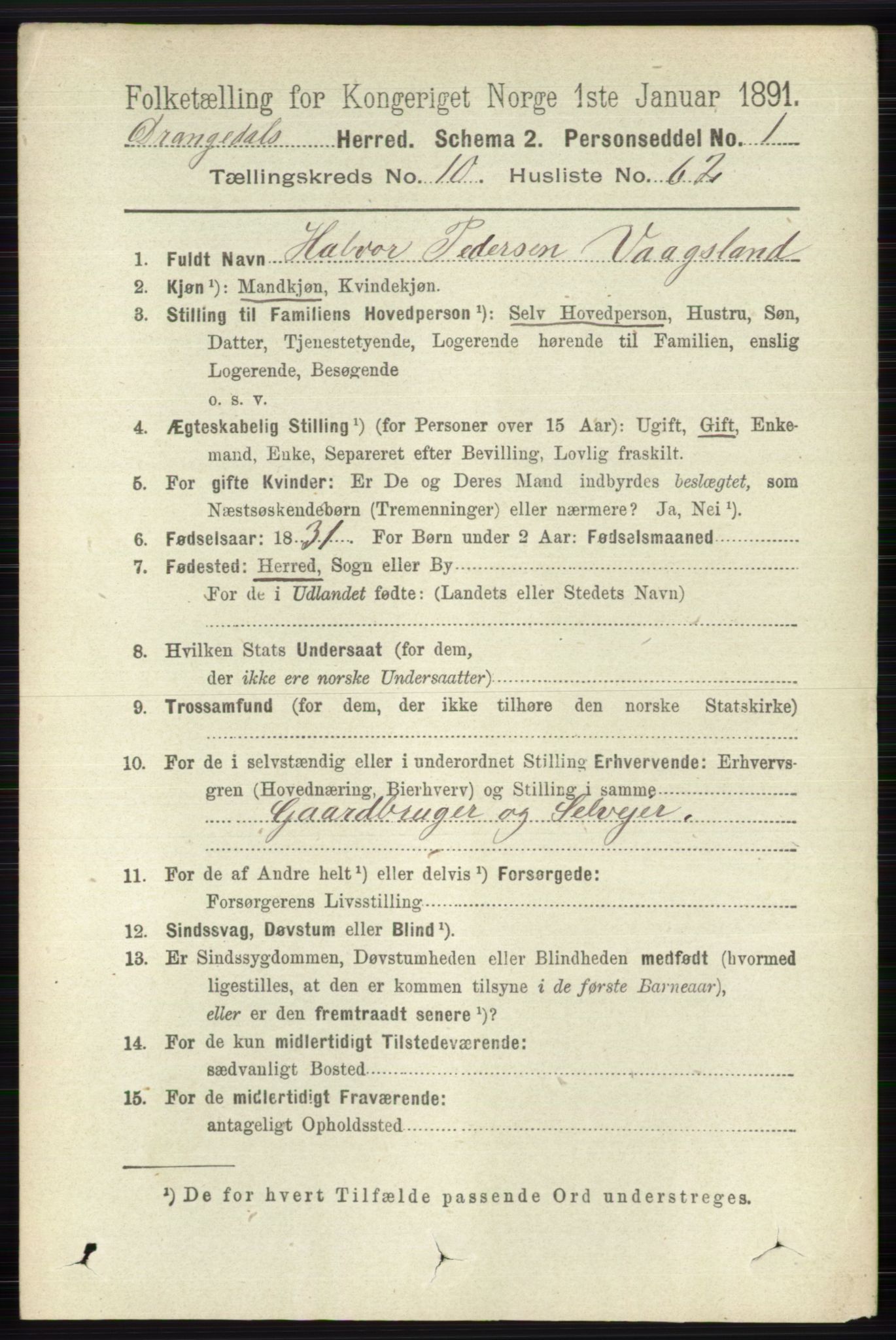 RA, 1891 census for 0817 Drangedal, 1891, p. 3810