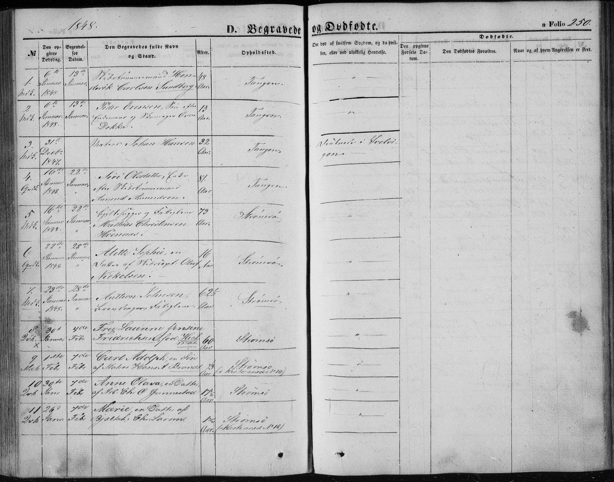 Strømsø kirkebøker, SAKO/A-246/F/Fa/L0014: Parish register (official) no. I 14, 1848-1858, p. 250