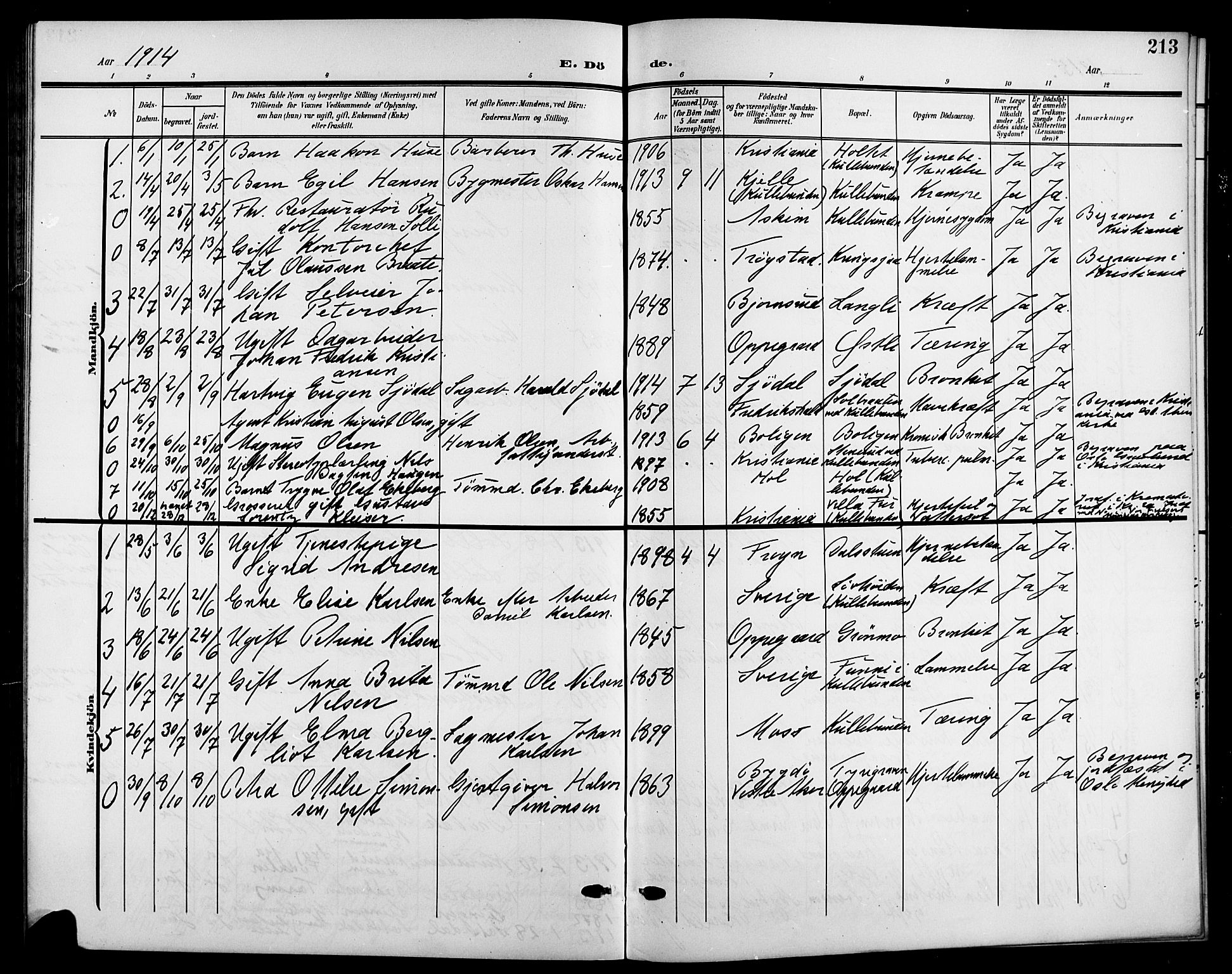 Nesodden prestekontor Kirkebøker, AV/SAO-A-10013/G/Gb/L0001: Parish register (copy) no. II 1, 1905-1924, p. 213