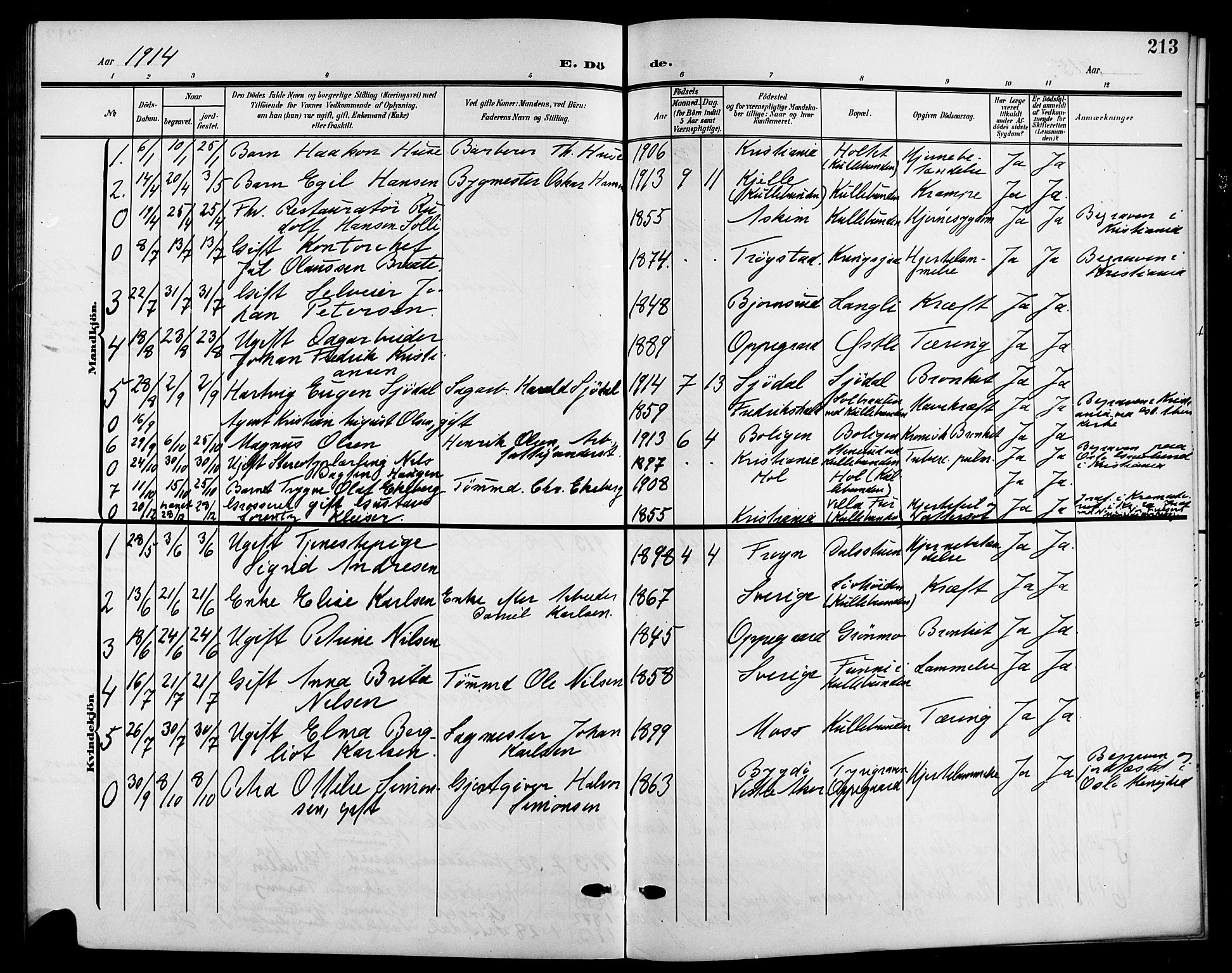 Nesodden prestekontor Kirkebøker, AV/SAO-A-10013/G/Gb/L0001: Parish register (copy) no. II 1, 1905-1924, p. 213