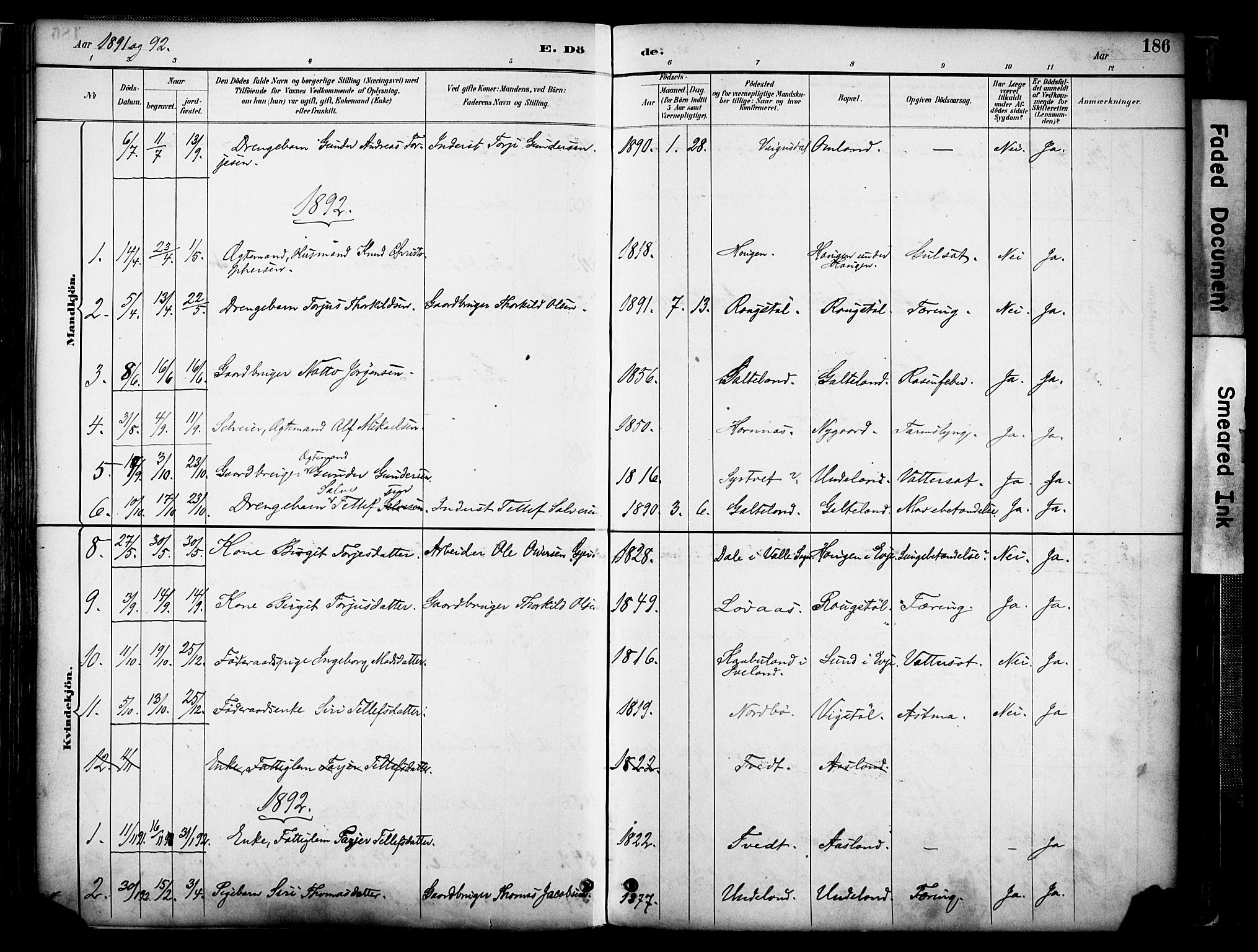 Evje sokneprestkontor, AV/SAK-1111-0008/F/Fa/Faa/L0007: Parish register (official) no. A 7, 1884-1909, p. 186