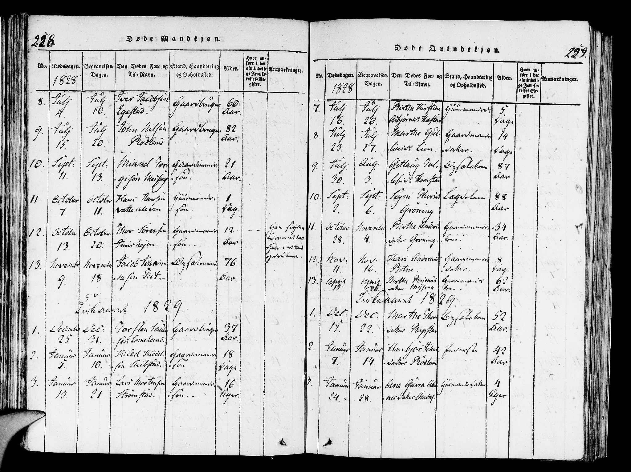 Helleland sokneprestkontor, AV/SAST-A-101810: Parish register (official) no. A 4, 1815-1834, p. 228-229