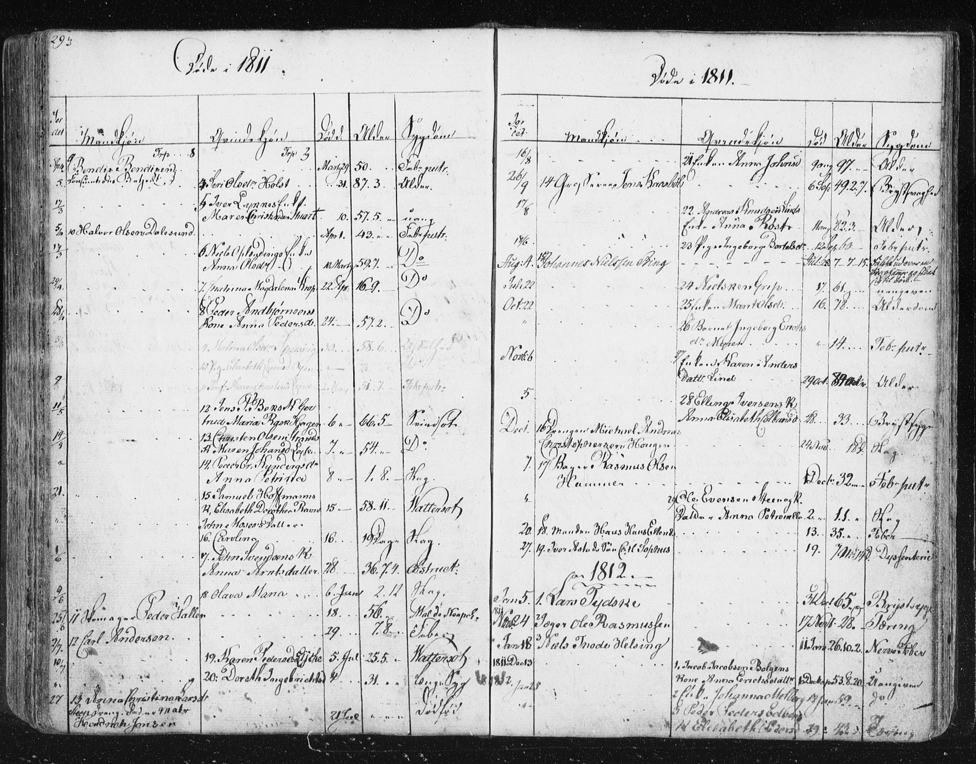 Ministerialprotokoller, klokkerbøker og fødselsregistre - Møre og Romsdal, SAT/A-1454/572/L0841: Parish register (official) no. 572A04, 1784-1819, p. 293