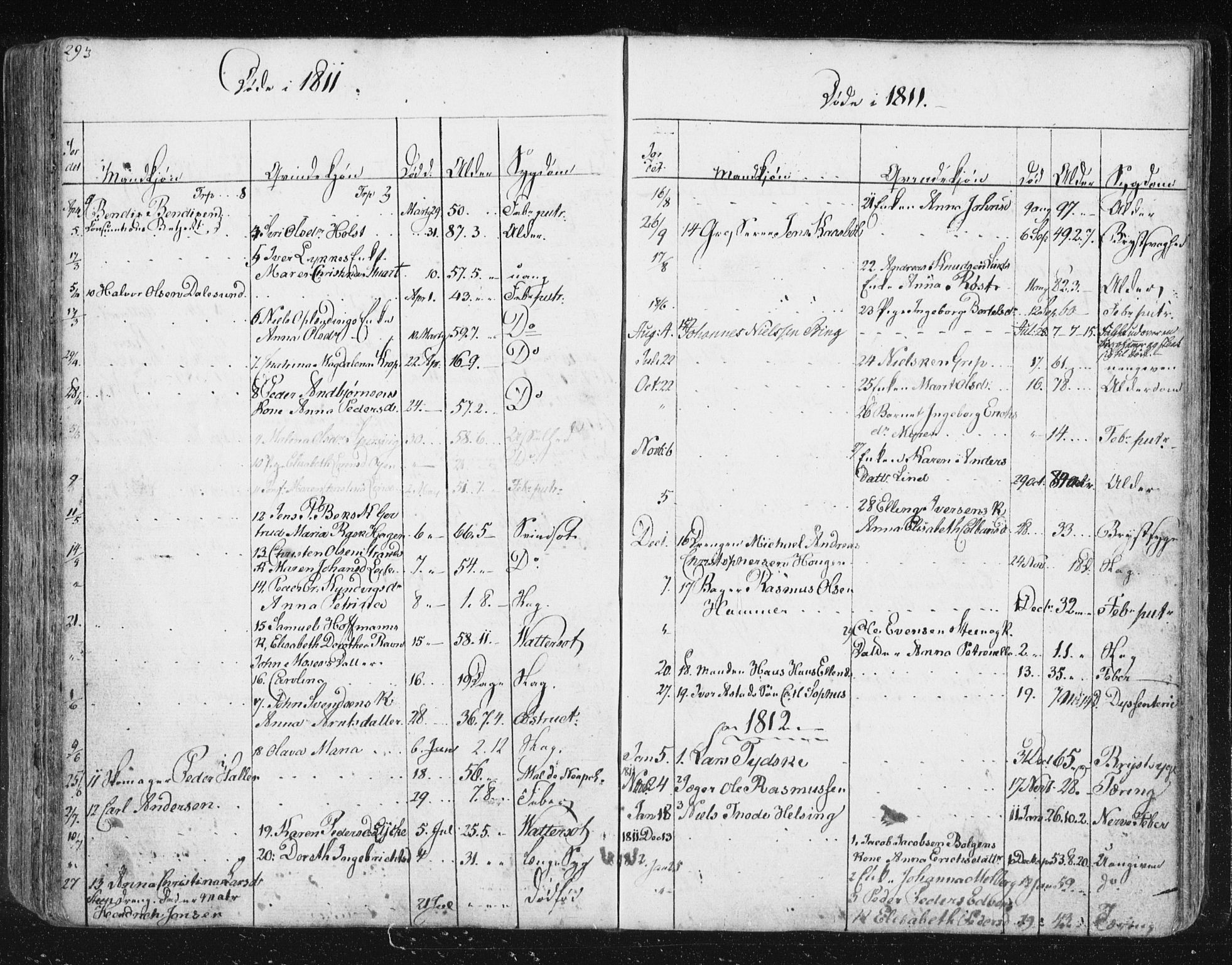 Ministerialprotokoller, klokkerbøker og fødselsregistre - Møre og Romsdal, AV/SAT-A-1454/572/L0841: Parish register (official) no. 572A04, 1784-1819, p. 293
