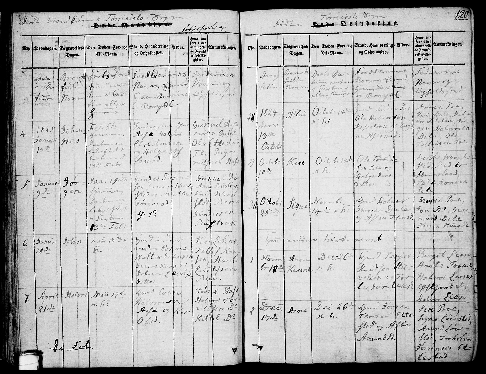 Drangedal kirkebøker, AV/SAKO-A-258/F/Fa/L0005: Parish register (official) no. 5 /2, 1814-1831, p. 120