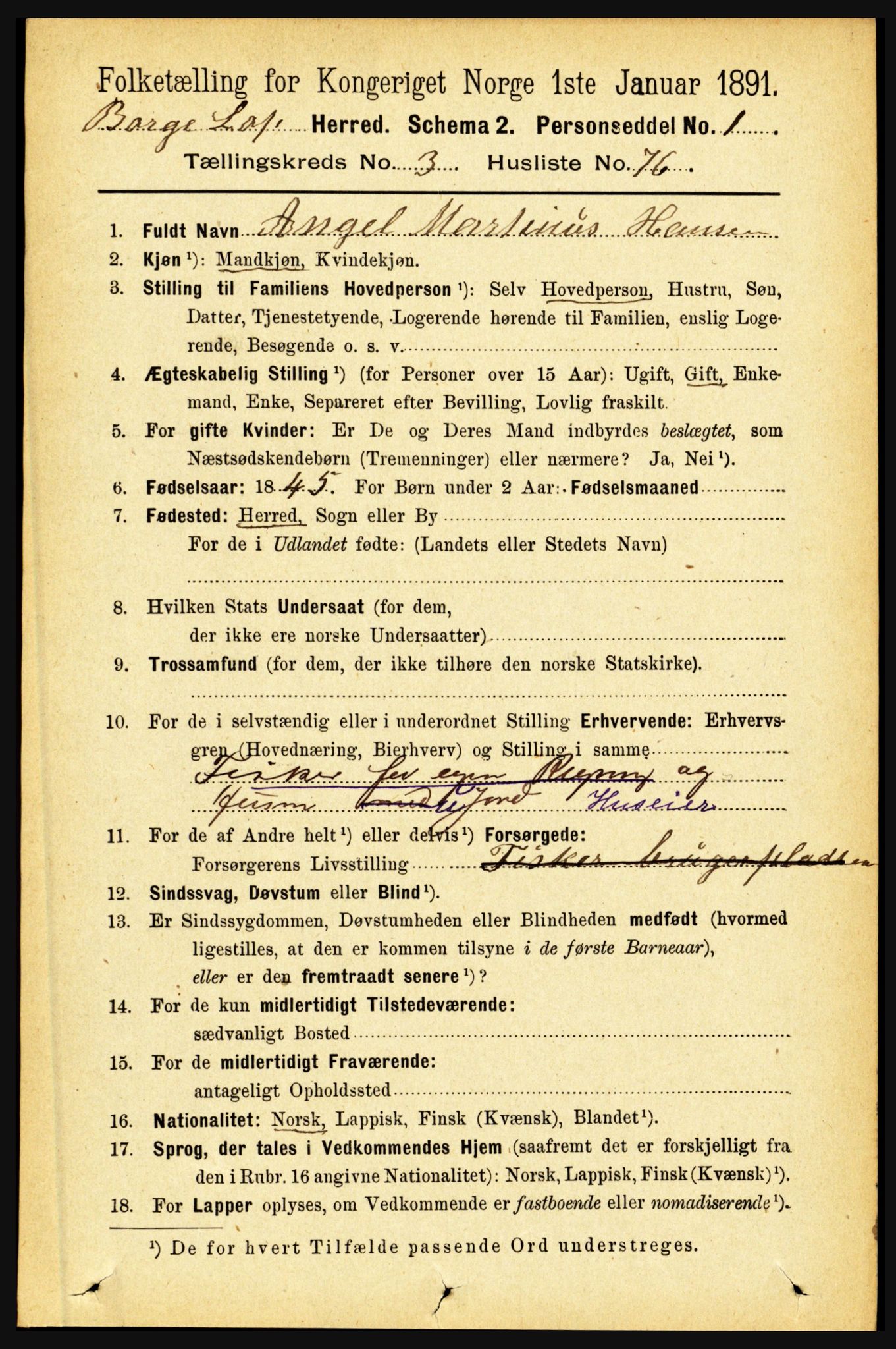 RA, 1891 census for 1862 Borge, 1891, p. 1994