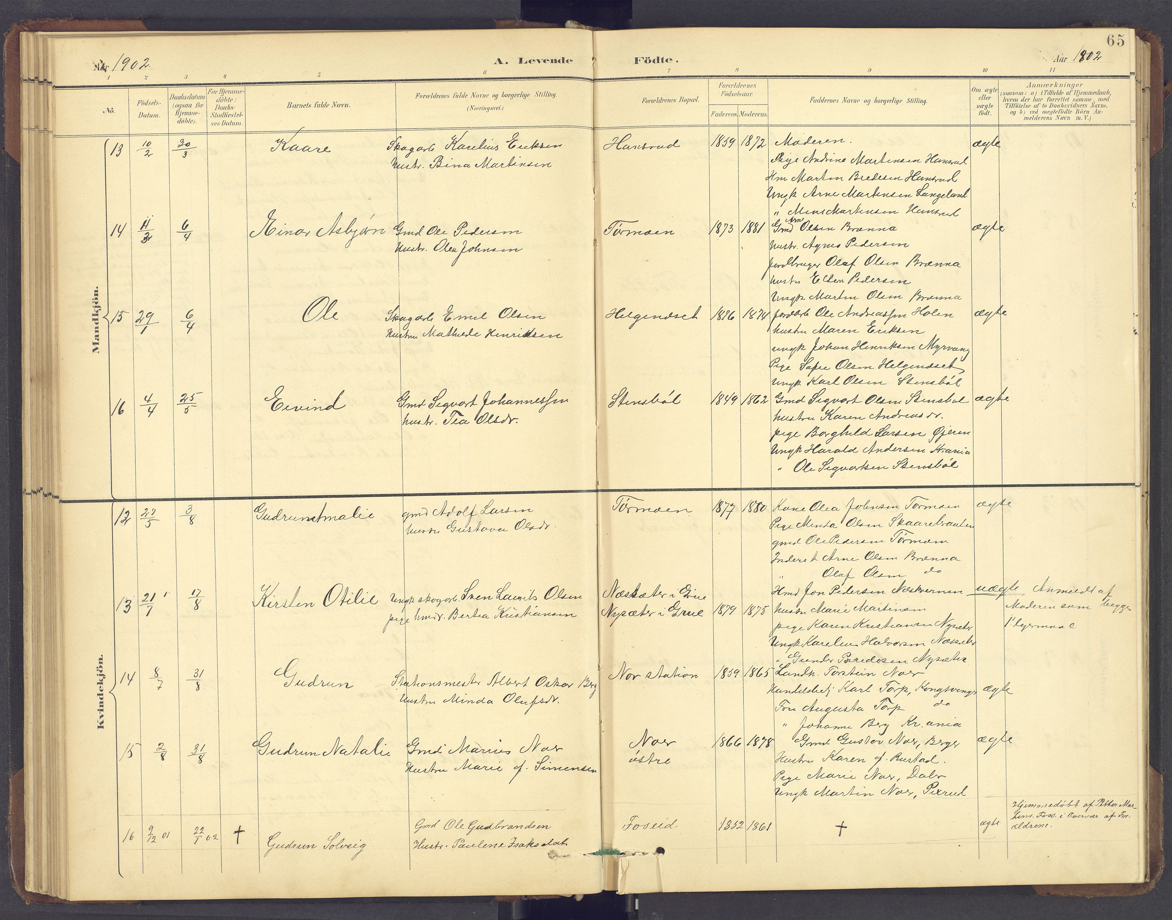 Brandval prestekontor, SAH/PREST-034/H/Ha/Hab/L0002: Parish register (copy) no. 2, 1895-1904, p. 65