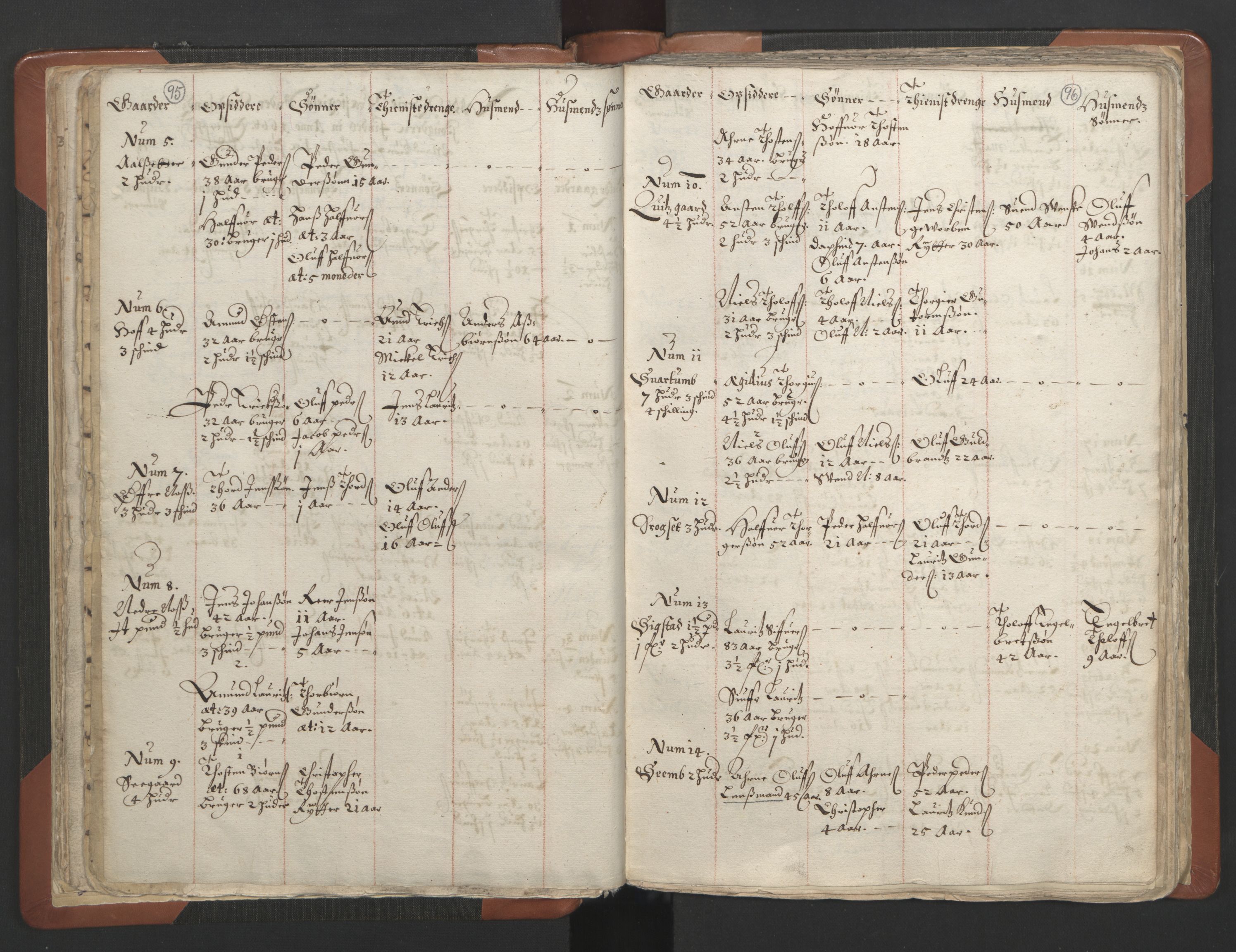 RA, Vicar's Census 1664-1666, no. 7: Hadeland deanery, 1664-1666, p. 95-96
