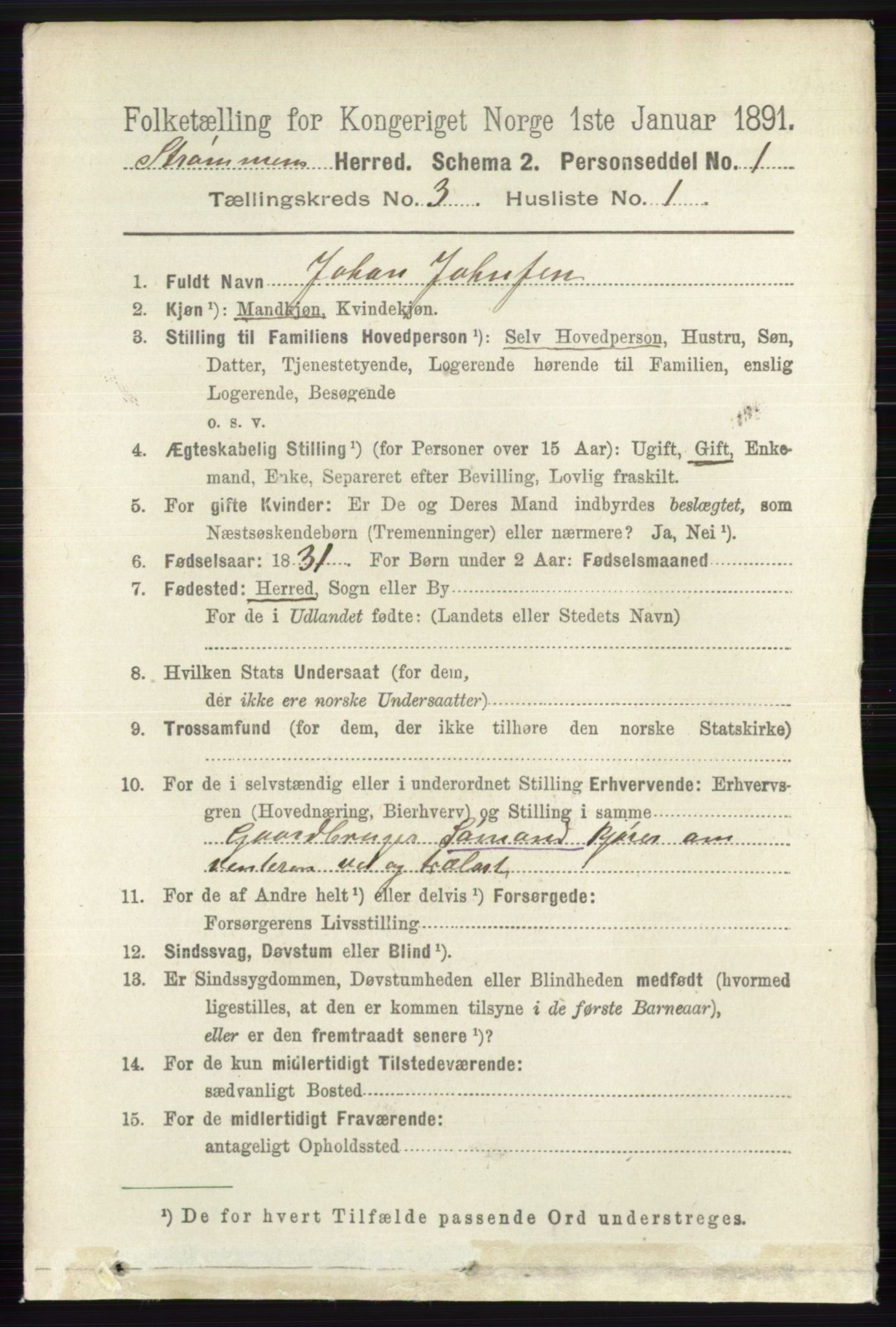 RA, 1891 census for 0711 Strømm, 1891, p. 1073