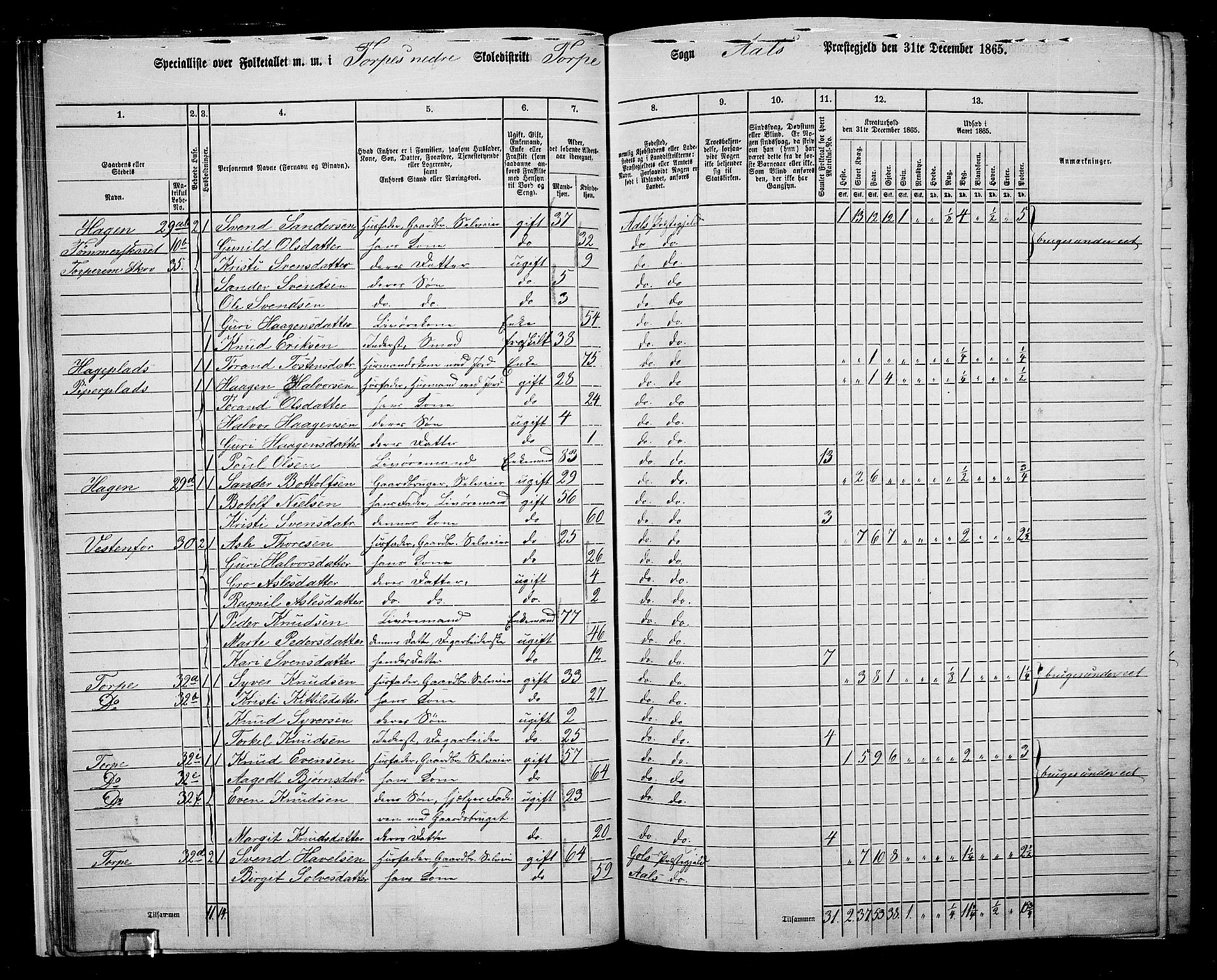 RA, 1865 census for Ål, 1865, p. 32