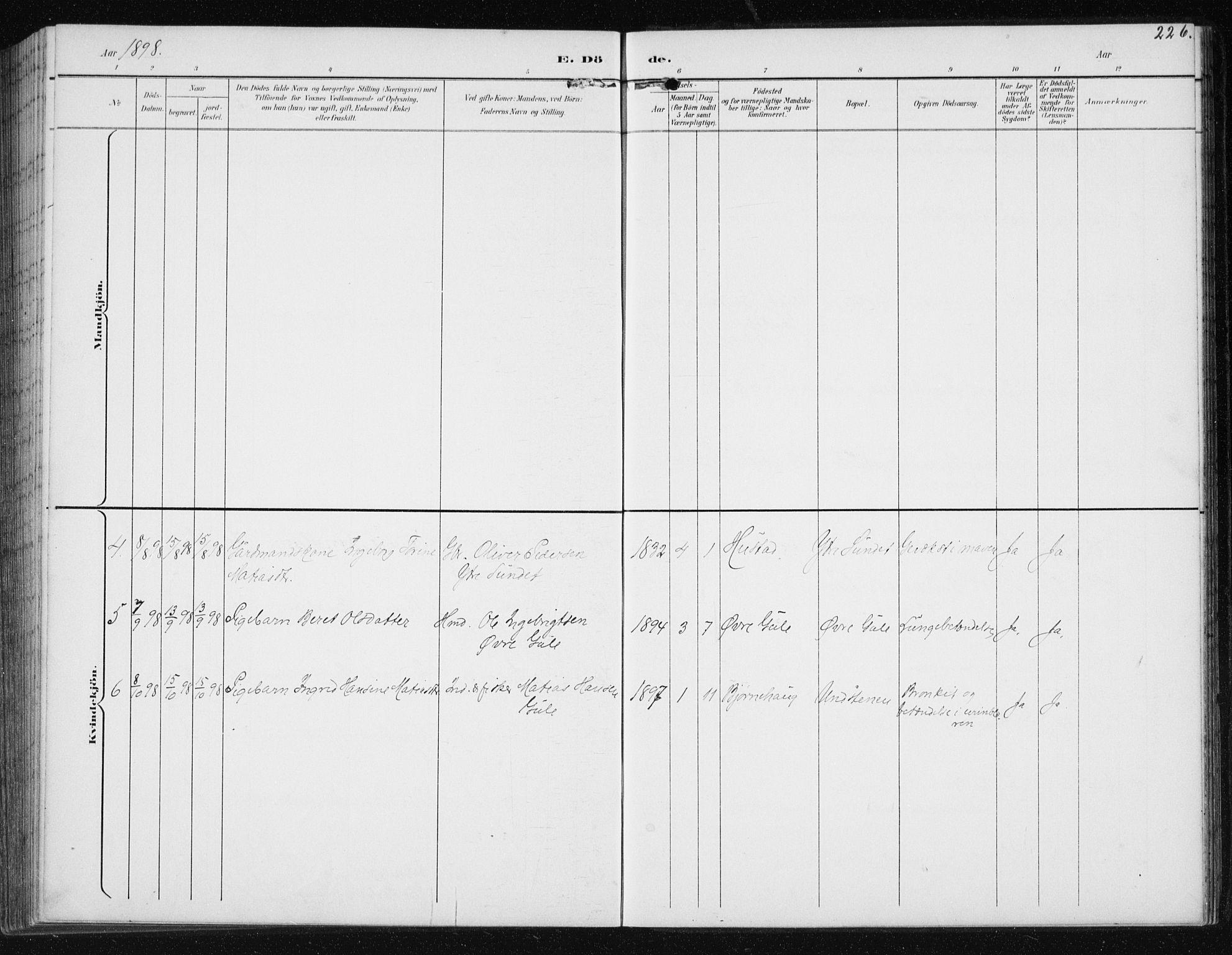 Ministerialprotokoller, klokkerbøker og fødselsregistre - Møre og Romsdal, SAT/A-1454/566/L0773: Parish register (copy) no. 566C02, 1892-1909, p. 226
