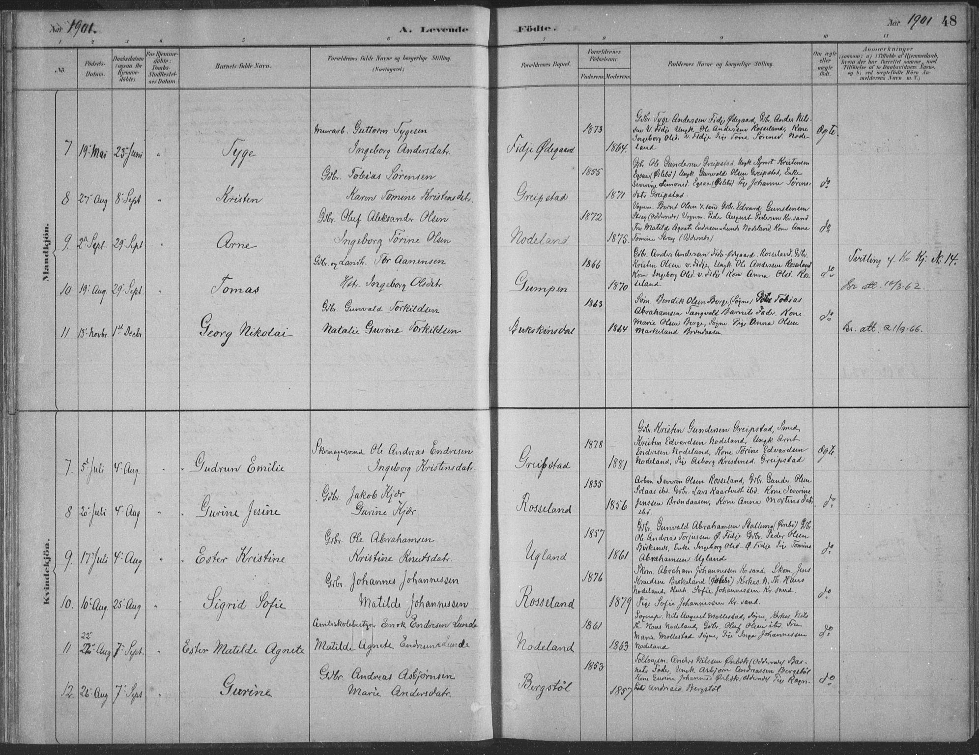 Søgne sokneprestkontor, AV/SAK-1111-0037/F/Fa/Faa/L0003: Parish register (official) no. A 3, 1883-1910, p. 48