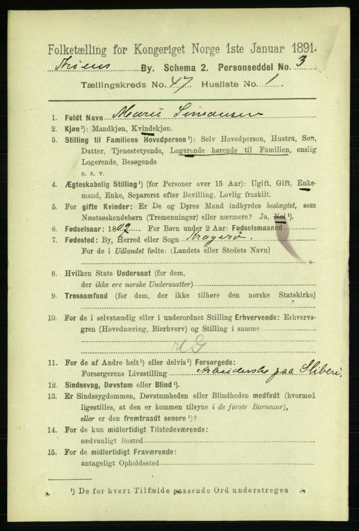 RA, 1891 census for 0806 Skien, 1891, p. 9208