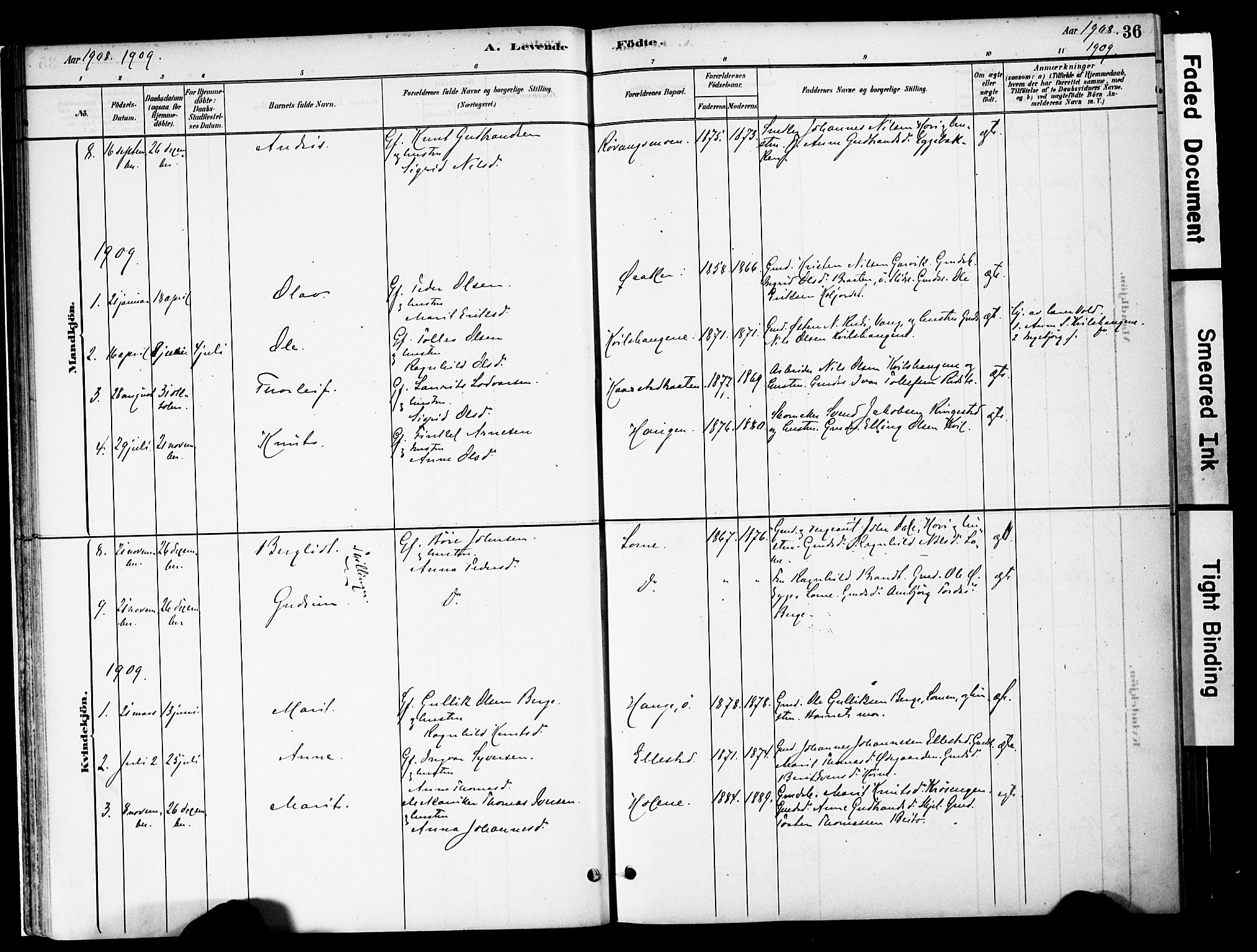 Vestre Slidre prestekontor, SAH/PREST-136/H/Ha/Haa/L0005: Parish register (official) no. 5, 1881-1912, p. 36