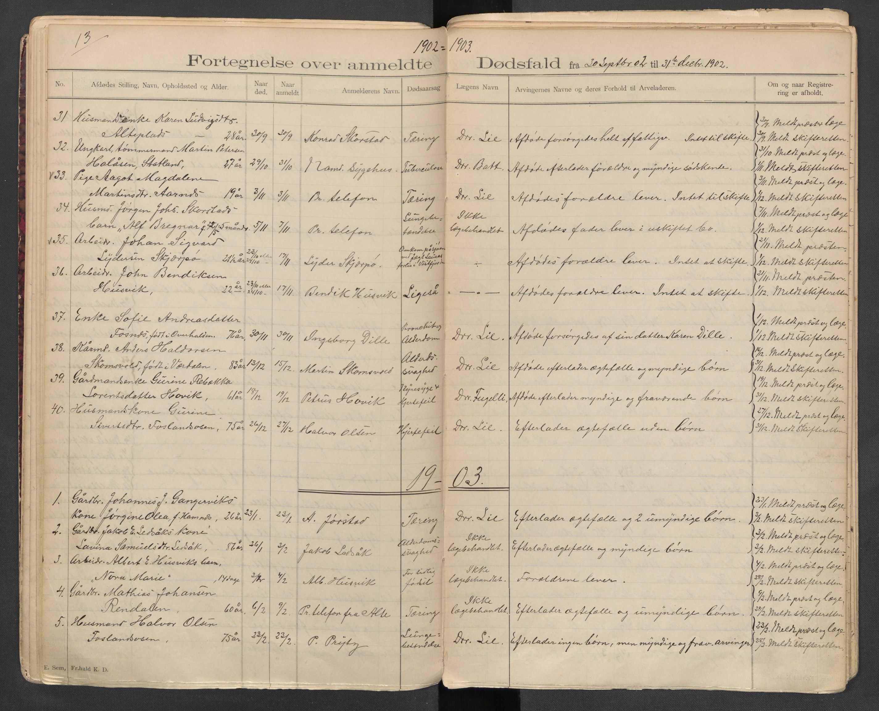 Fosnes lensmannskontor , SAT/A-1022/1/02/L0002: 2.01.02 Døsfallsjournal, 1897-1917, p. 13