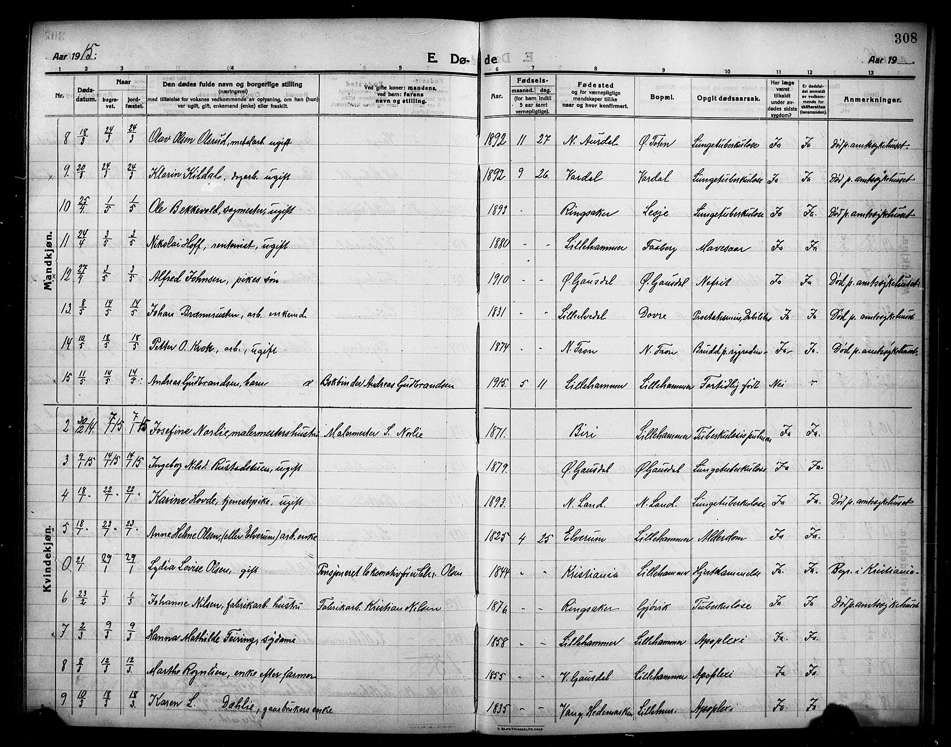 Lillehammer prestekontor, AV/SAH-PREST-088/H/Ha/Hab/L0002: Parish register (copy) no. 2, 1913-1929, p. 308